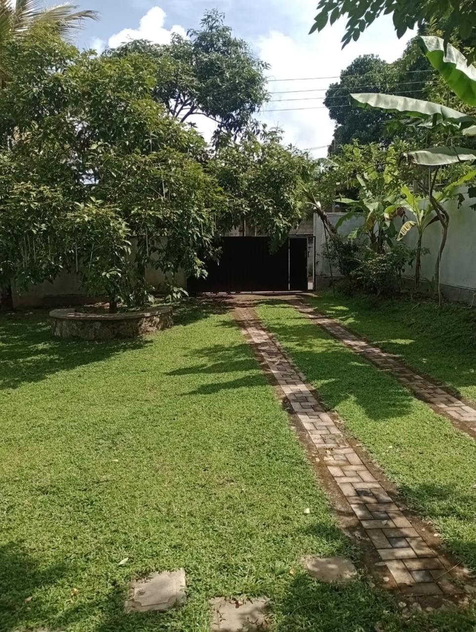 Photo 38