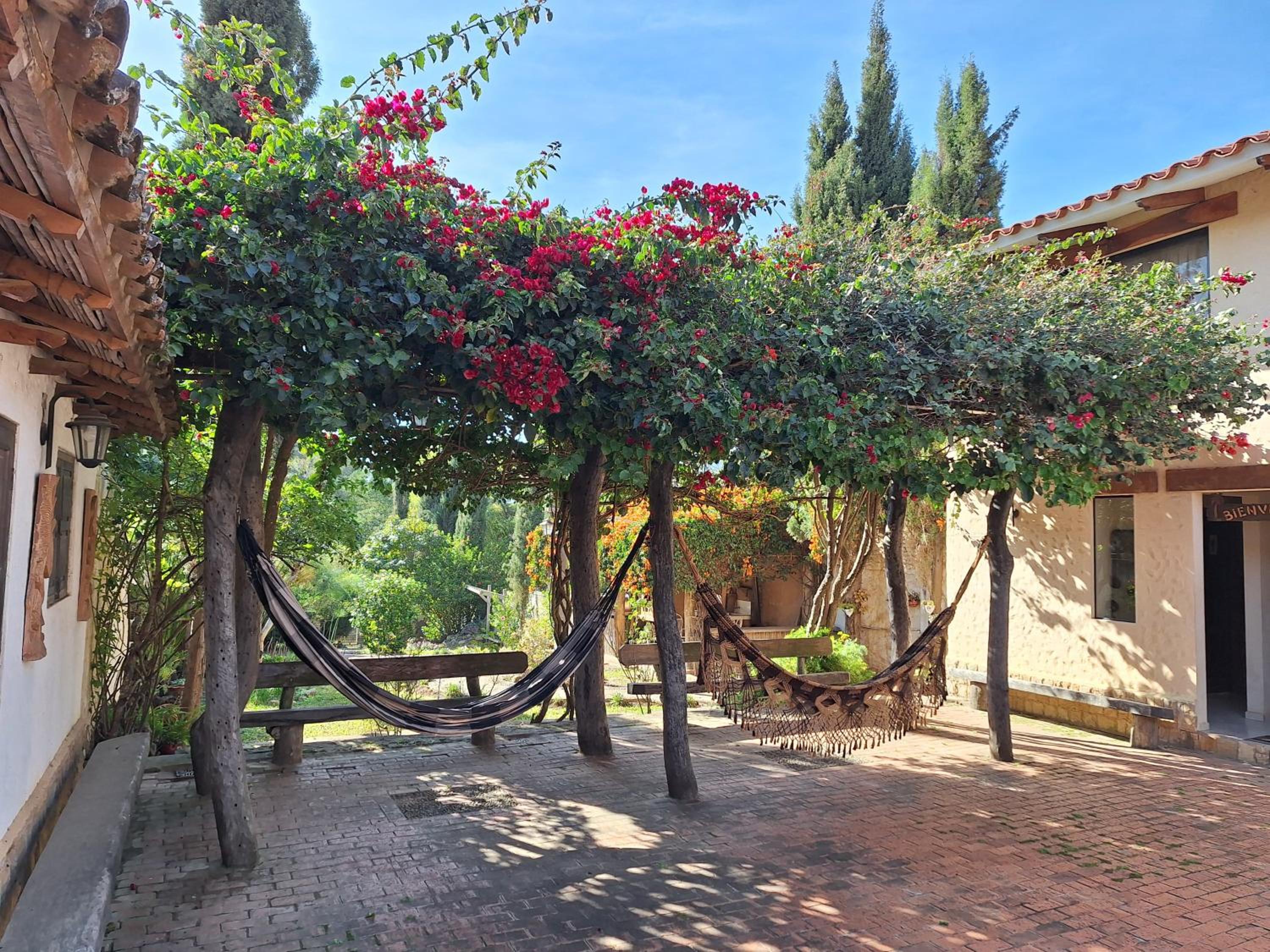 Bella Casa Los Pinos