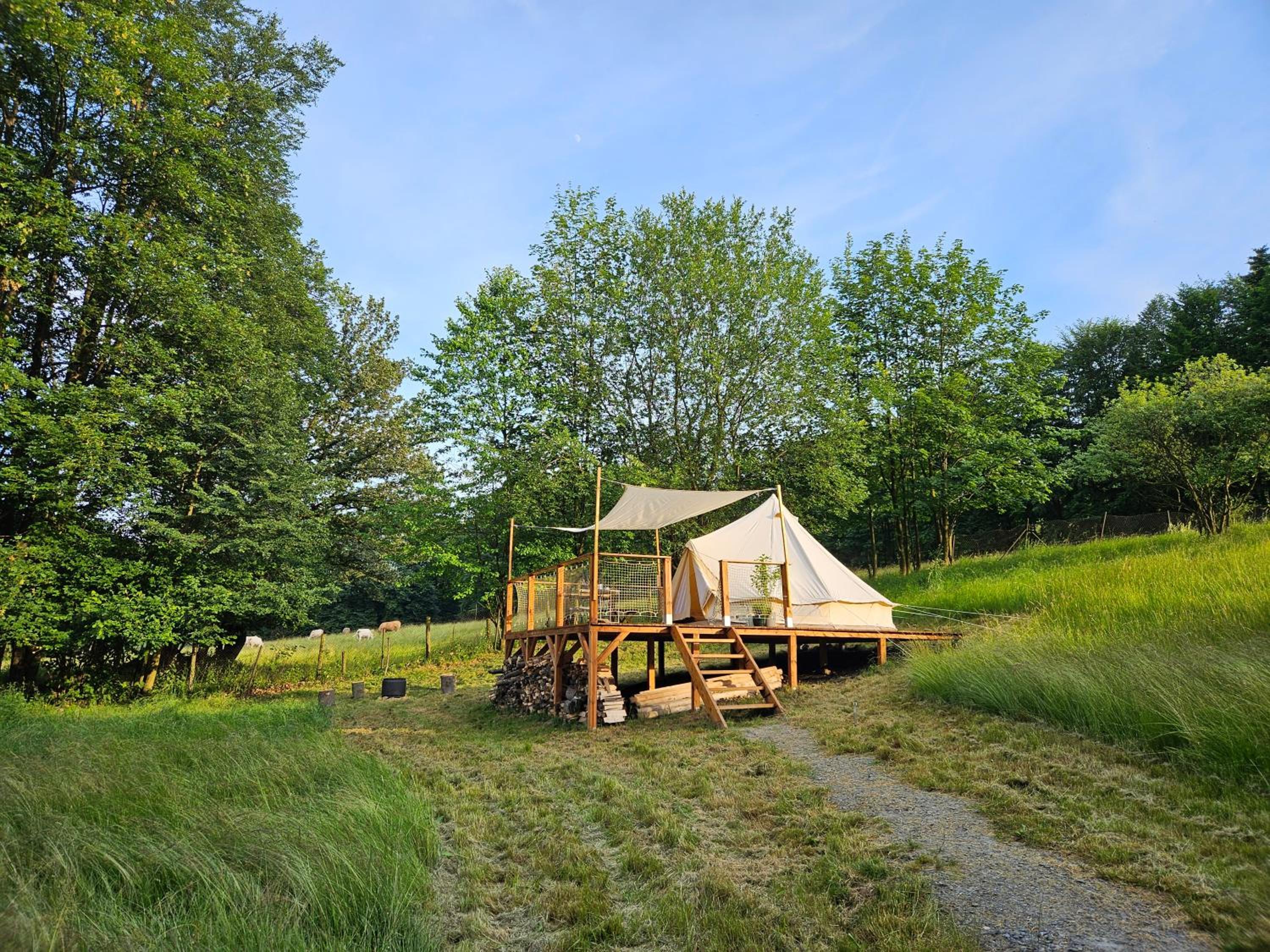 Glamping & Farm Zlaté Podlesí - Stan na louce
