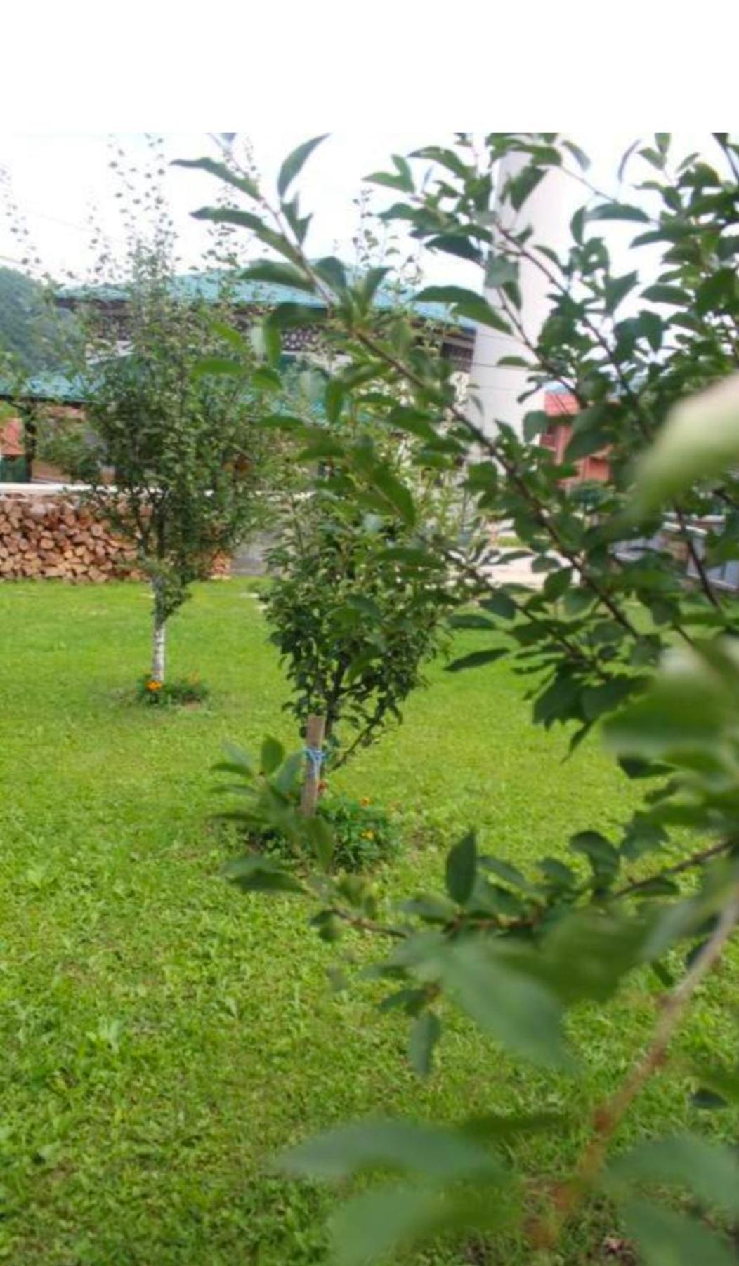 Villa - Tmušic - Sarajevo