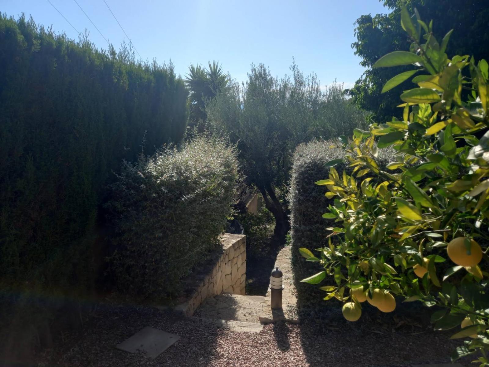 Villa Anna-Altea