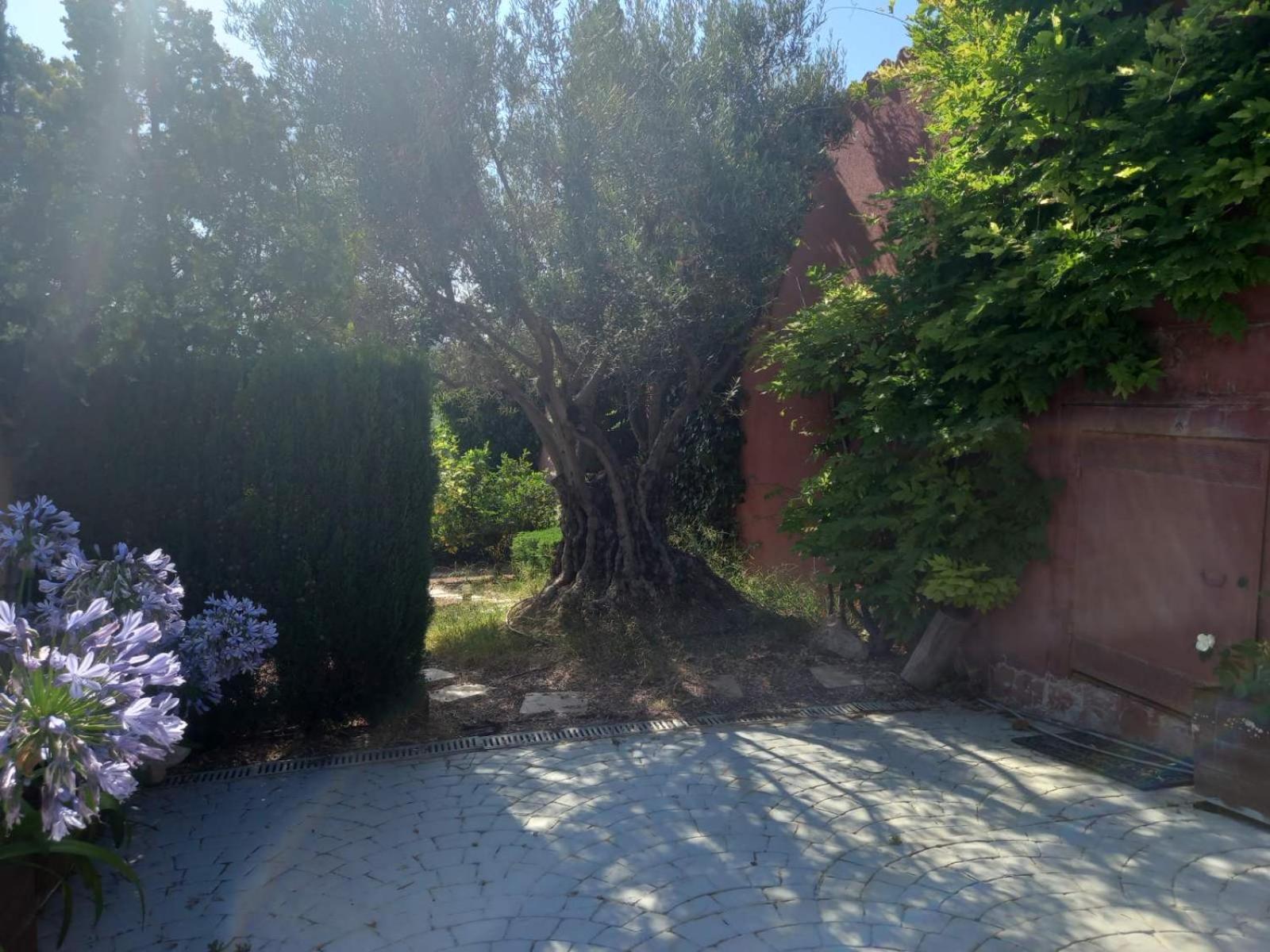 Villa Anna-Altea