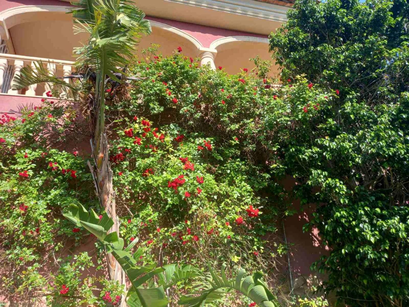 Villa Anna-Altea