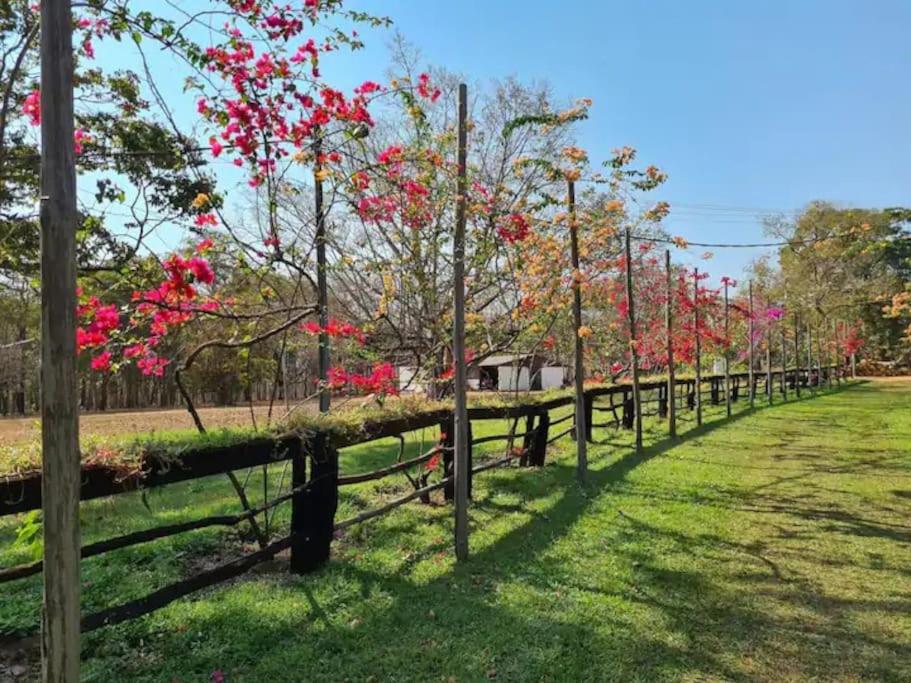 Fazenda Lagoinha