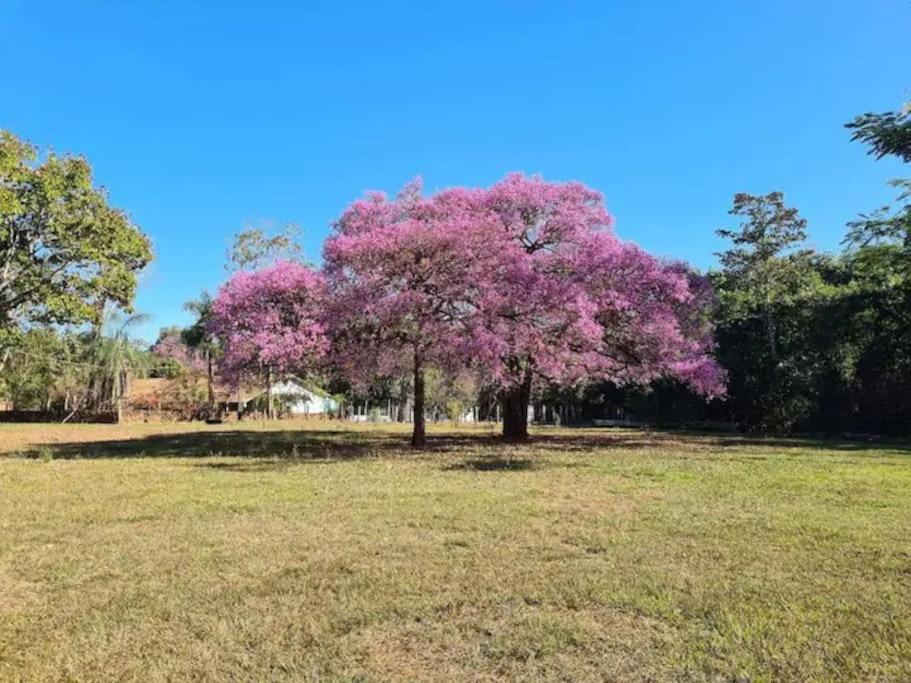 Fazenda Lagoinha
