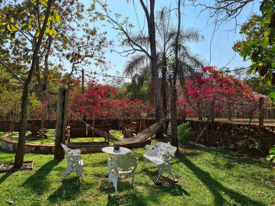 Fazenda Lagoinha