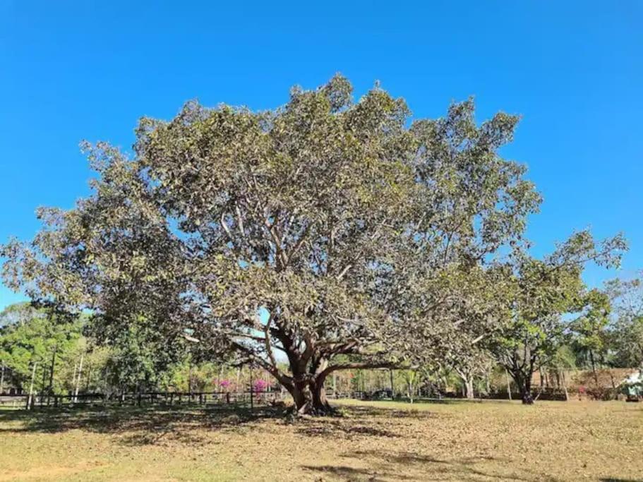 Fazenda Lagoinha