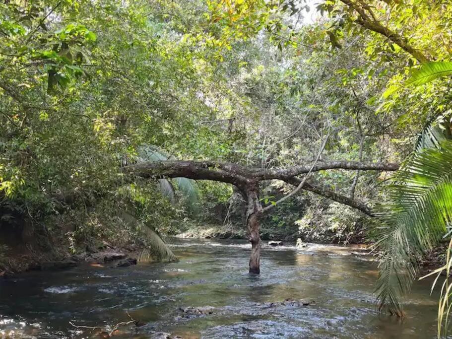 Fazenda Lagoinha
