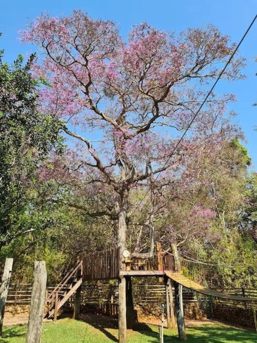 Fazenda Lagoinha