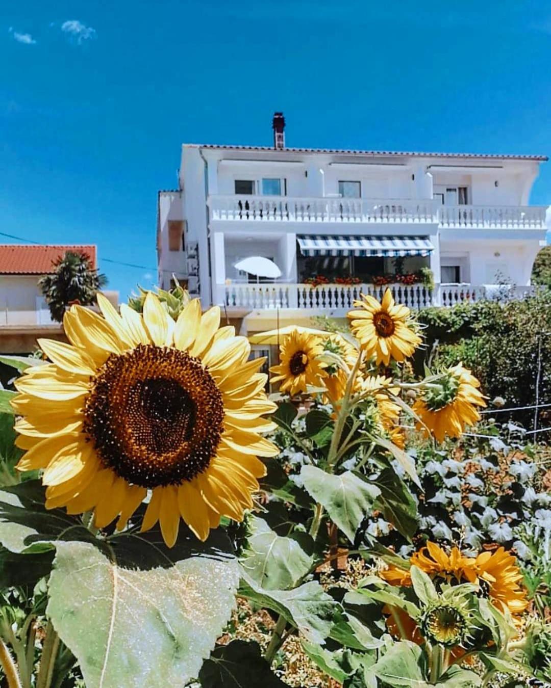 Apartments Grubelić - Perfect for Families and Small Groups