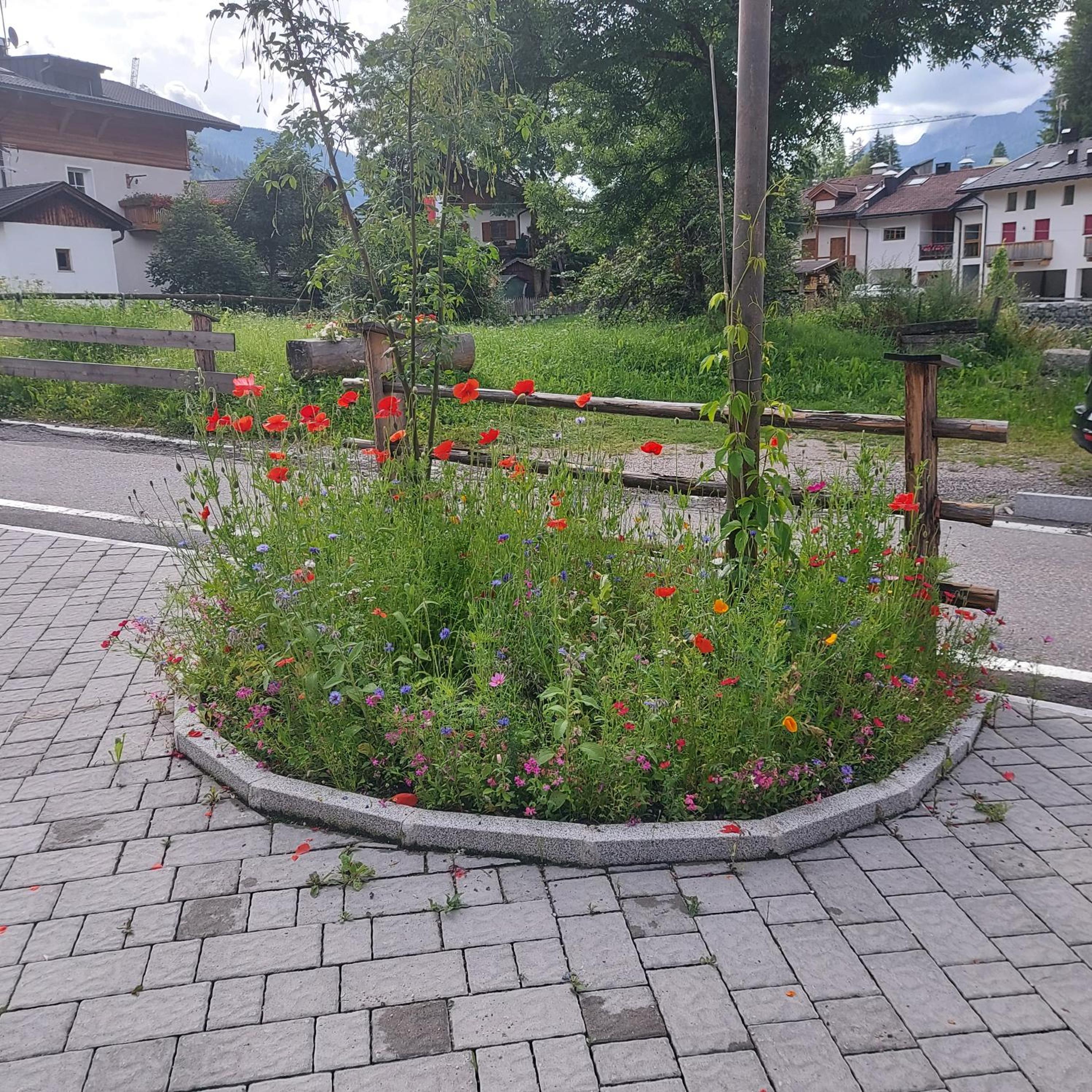 Photo 24