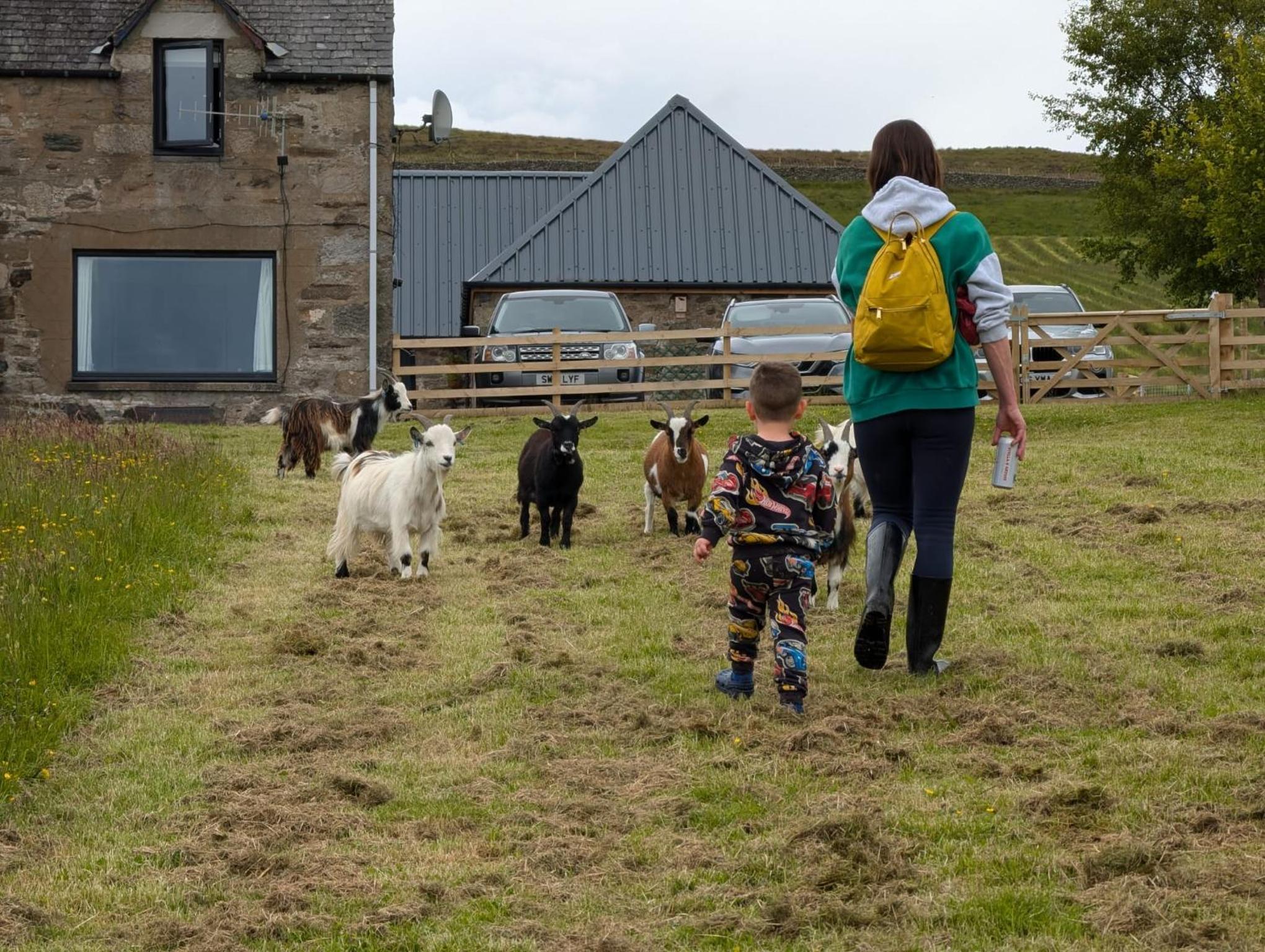 Tomnauld Farm
