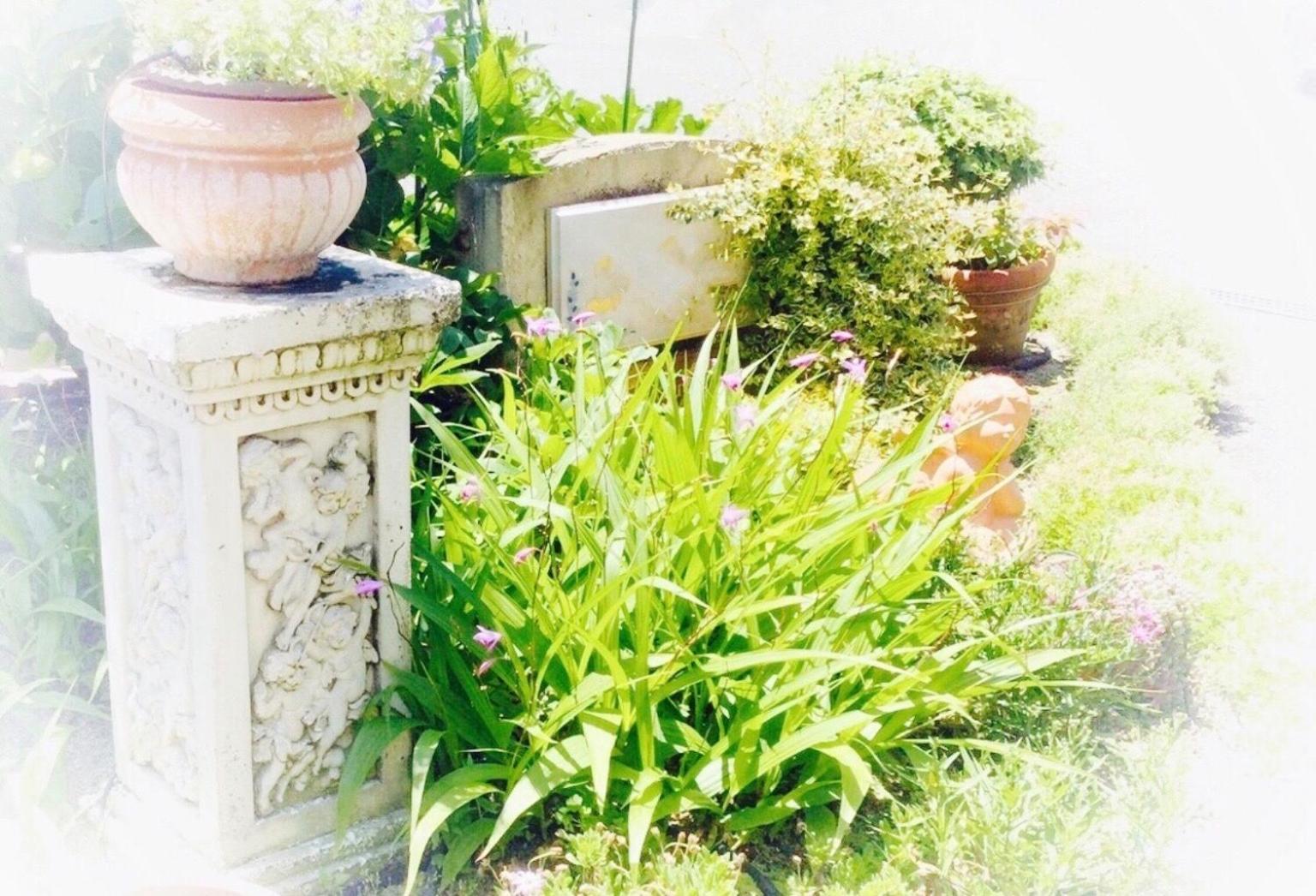 Apartment Hotel Mimoza - Vacation STAY 92095v