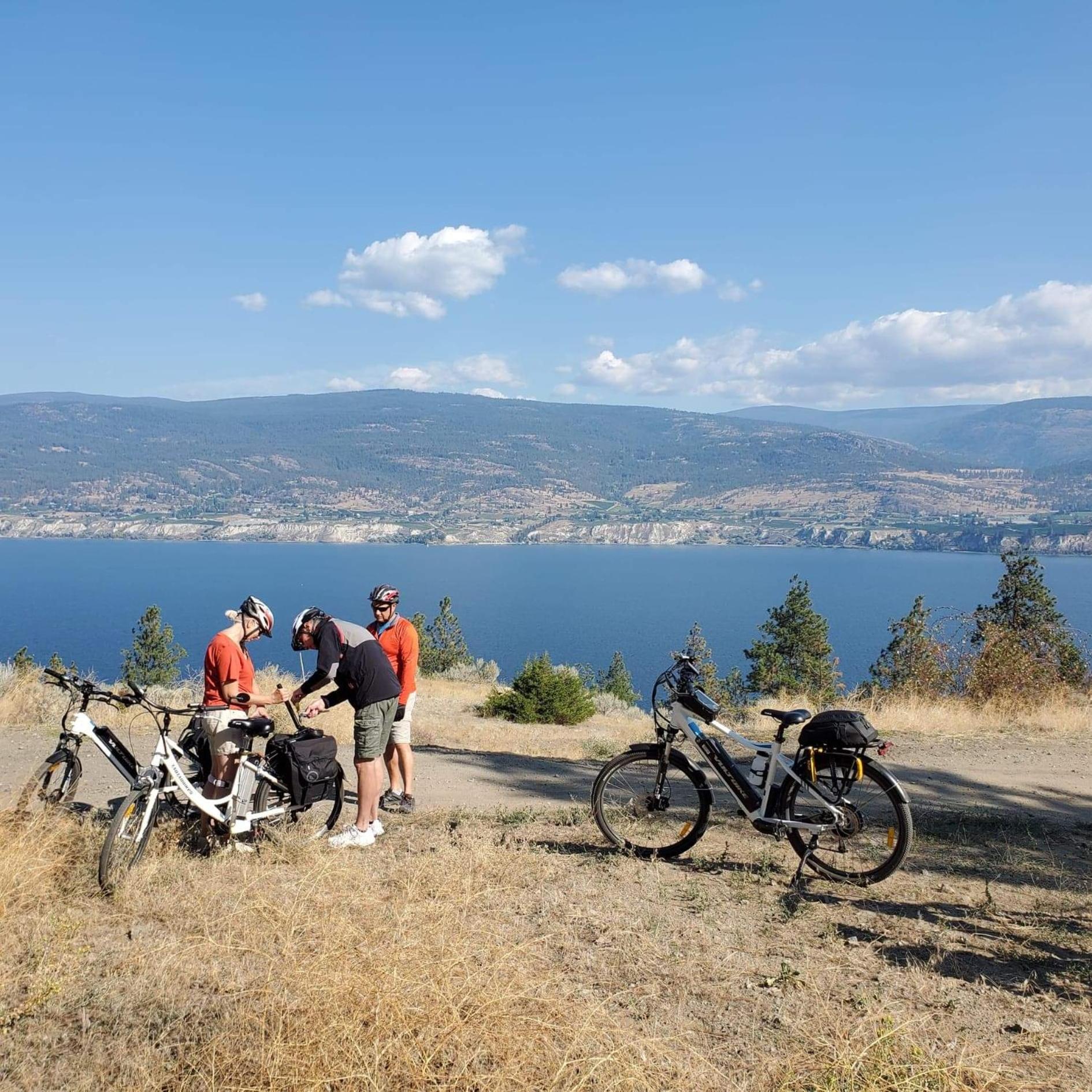 Comfy KING Bed, Large private Basement Suite, Smart TV in Penticton- city of PEACHES AND BEACHES