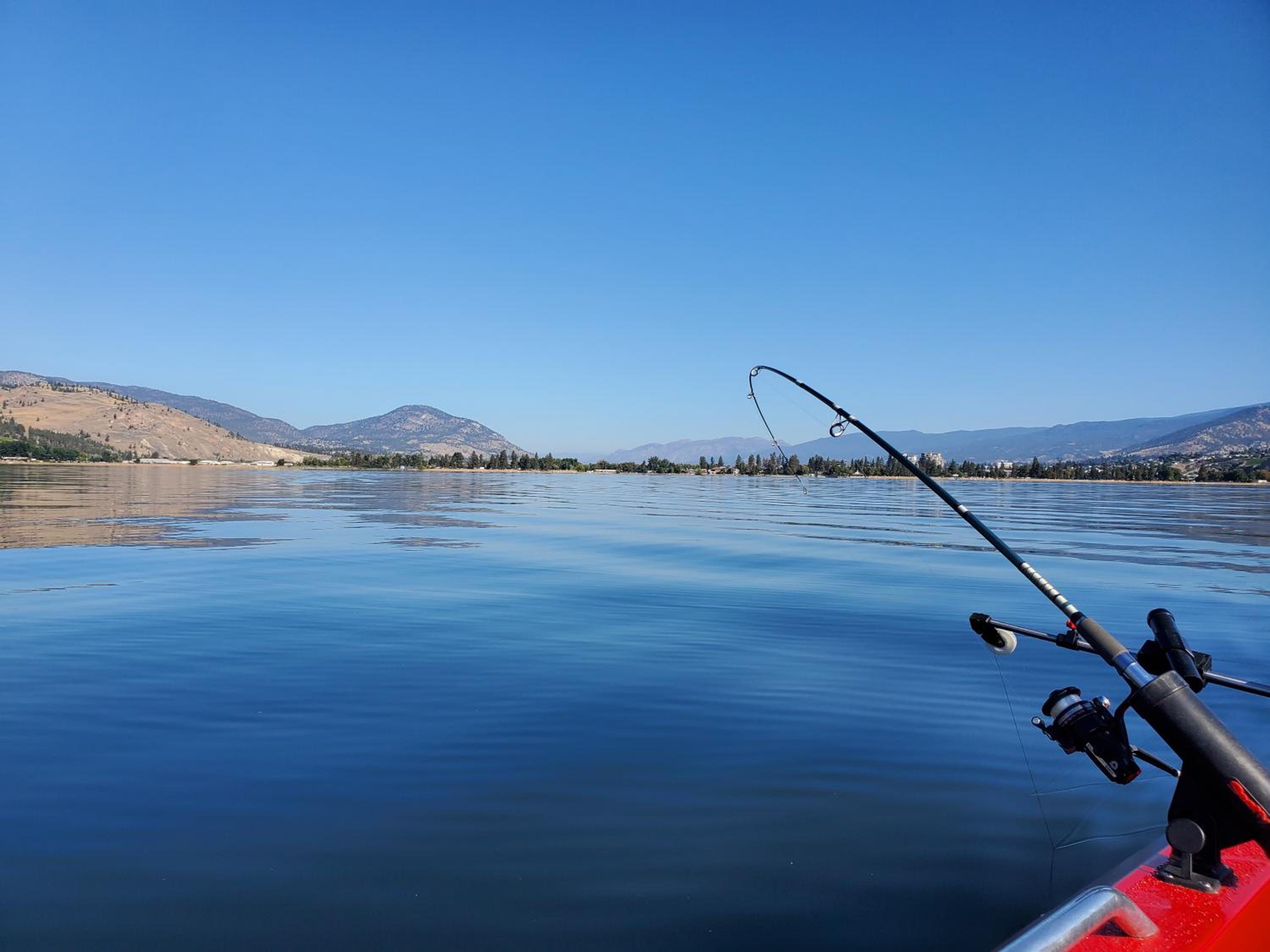 Comfy KING Bed, Large private Basement Suite, Smart TV in Penticton- city of PEACHES AND BEACHES