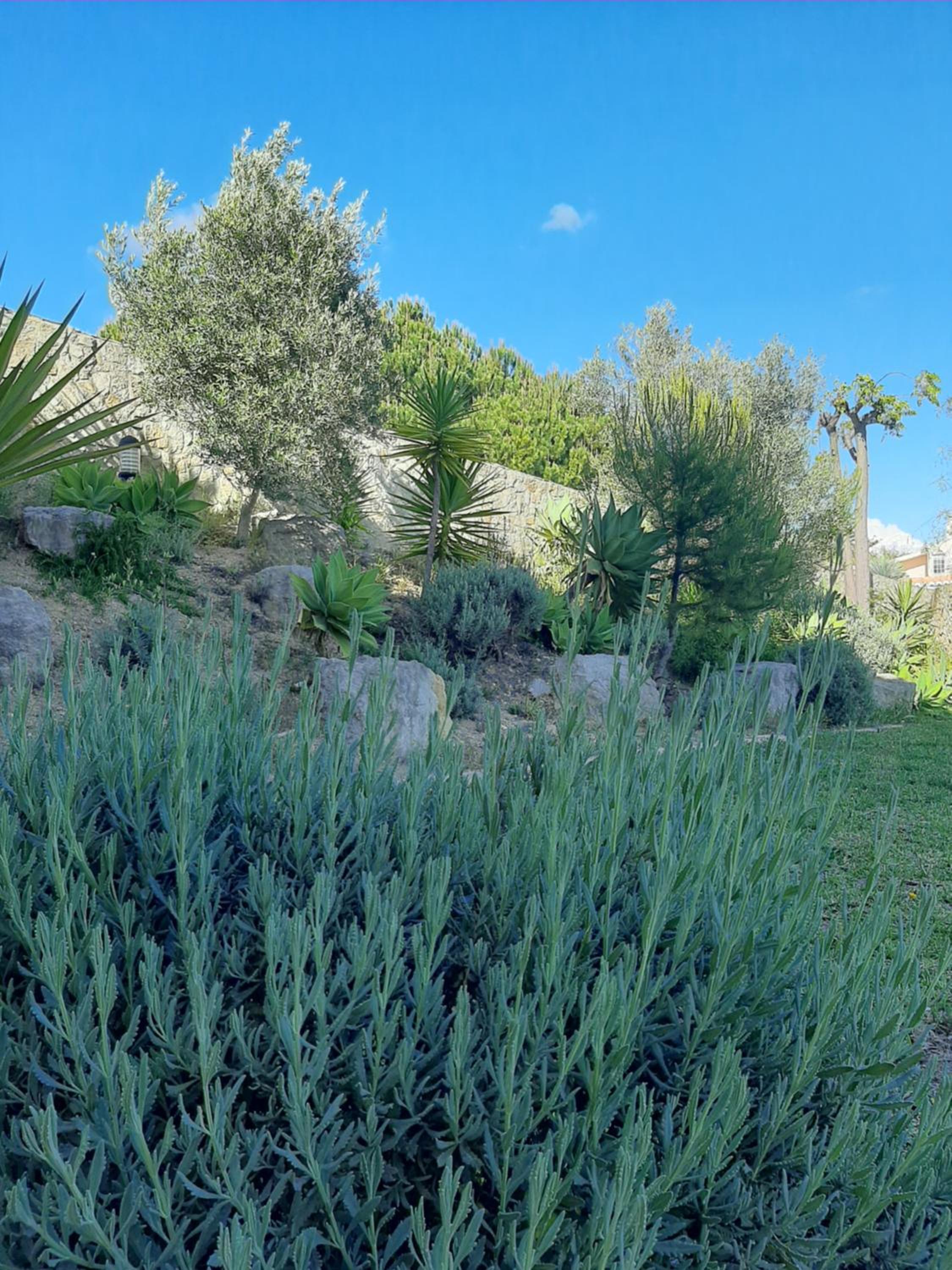 Lucie Lime GuestHouse