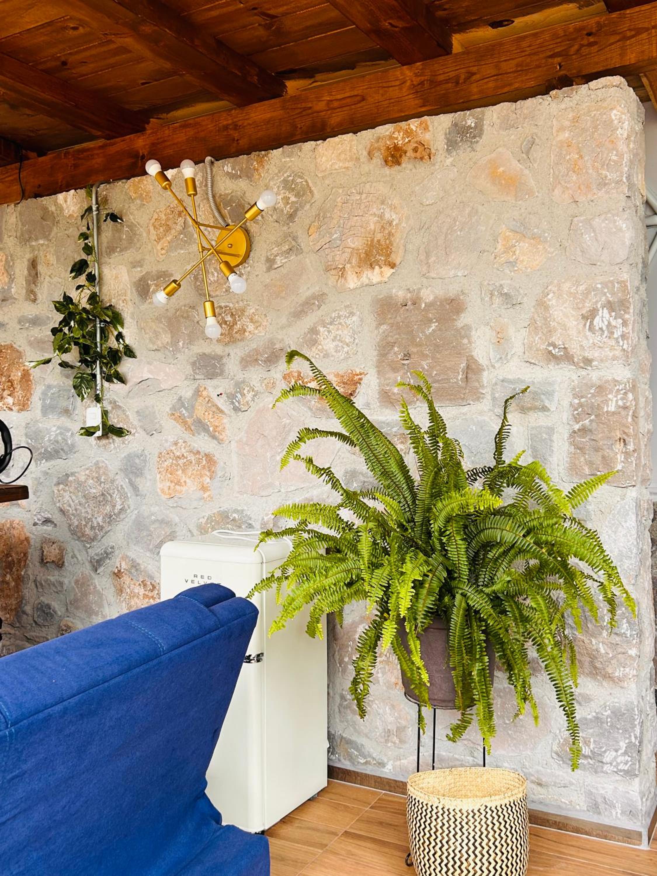 Glamping de lujo en Huasca