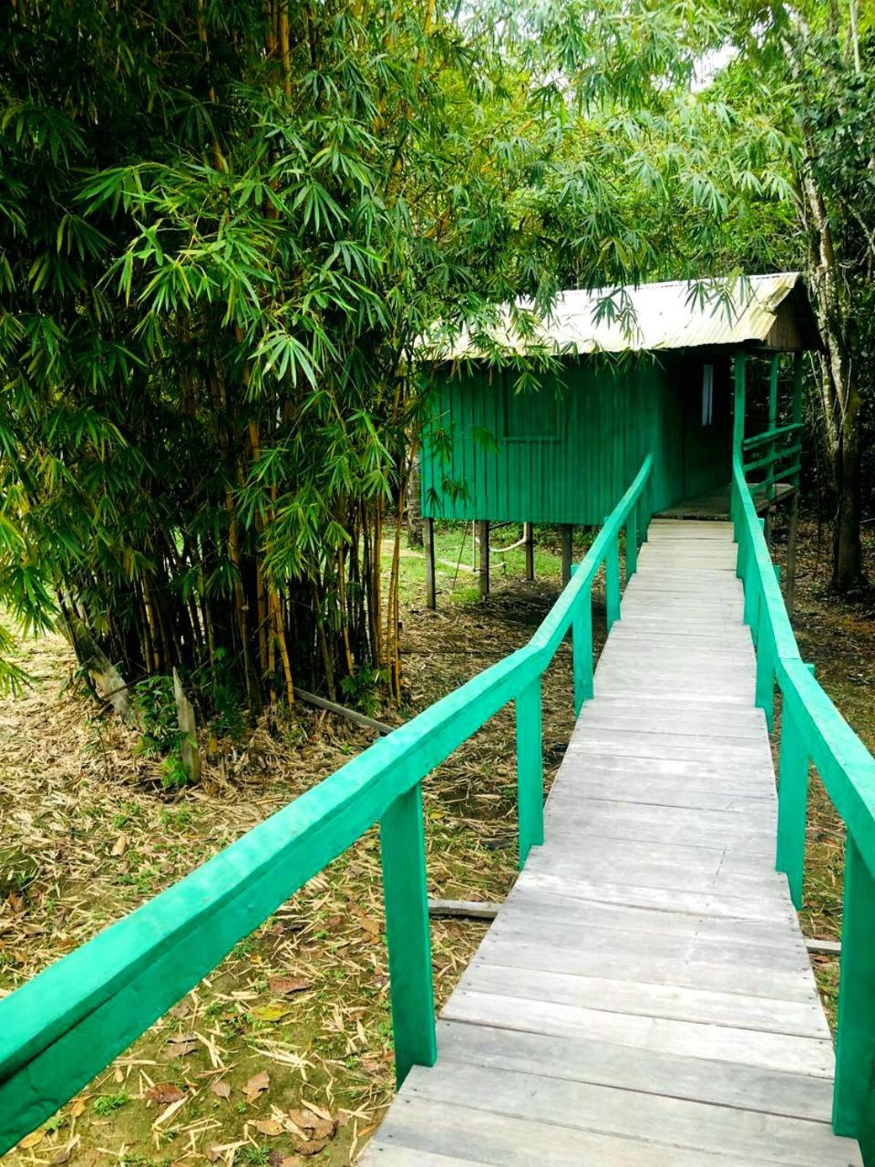 Amazoncheirodaforesta