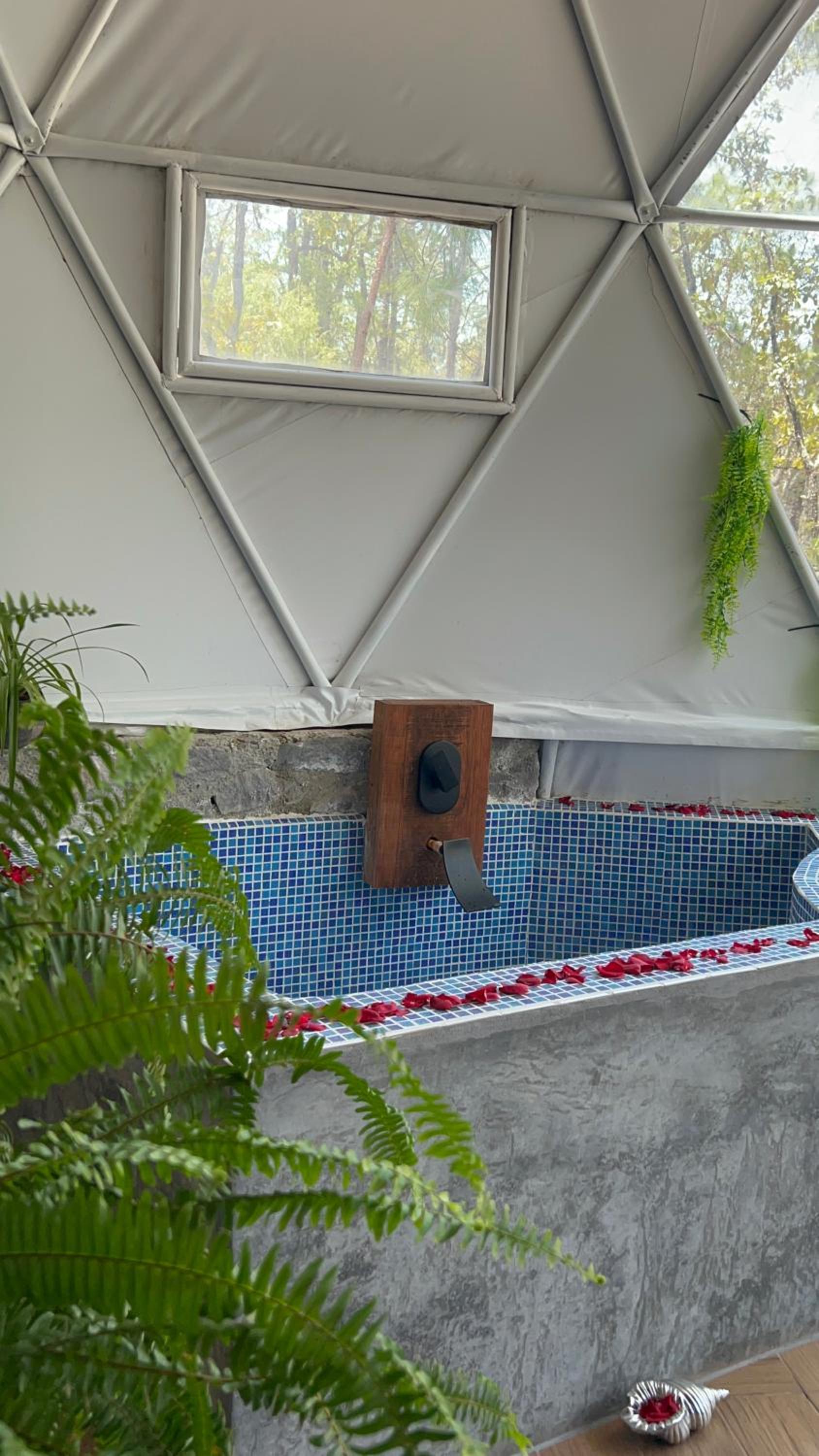 Glamping de lujo en Huasca