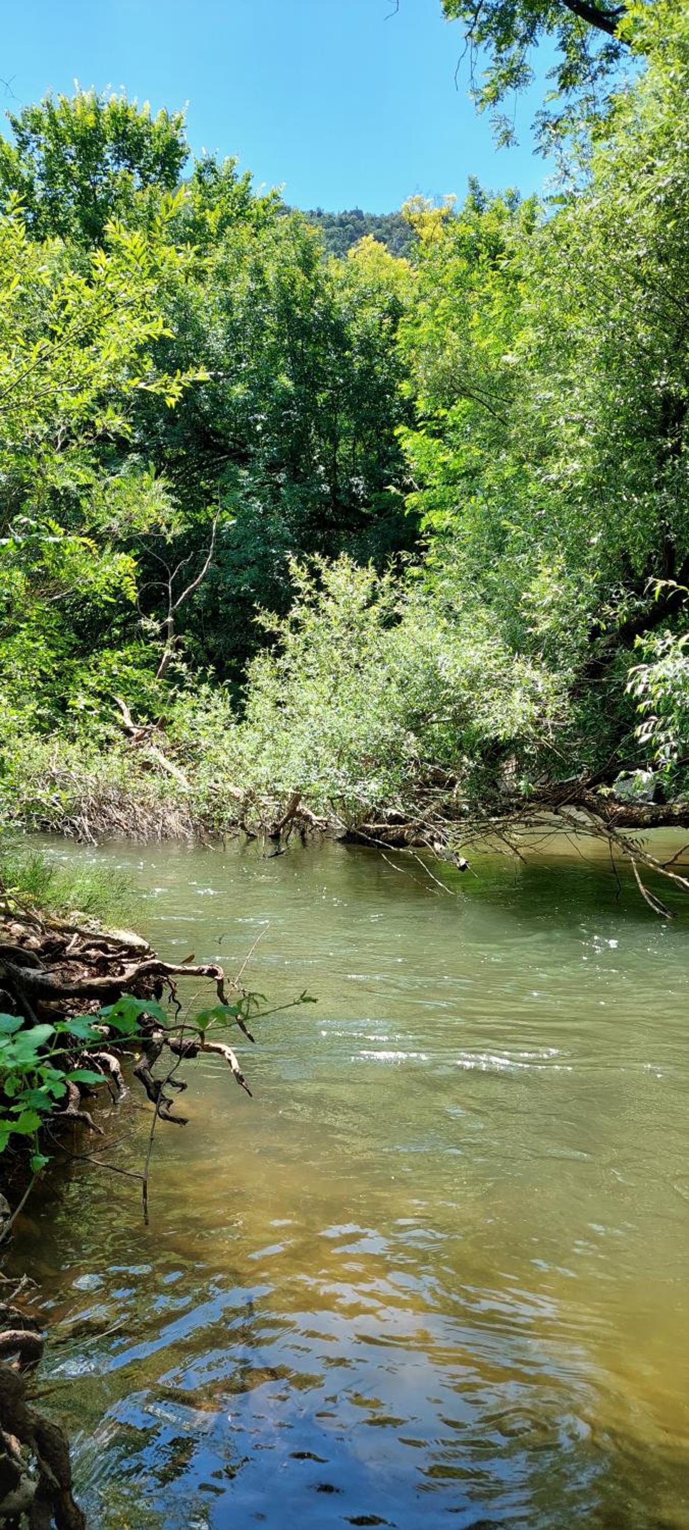Golemi kamik Pirot Vlasi 2 view 4