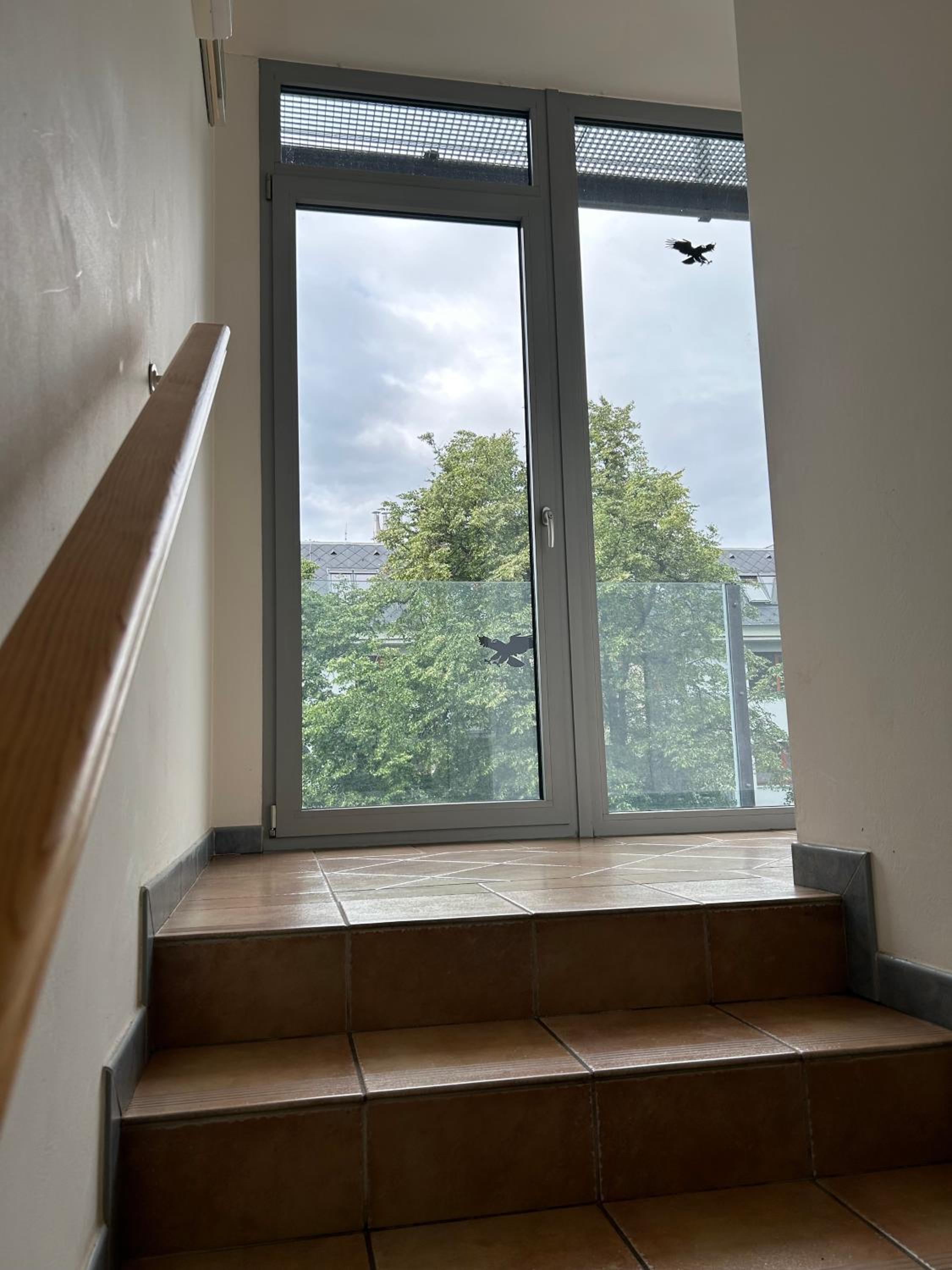 Apartmán v srdci Poděbrad 100m2