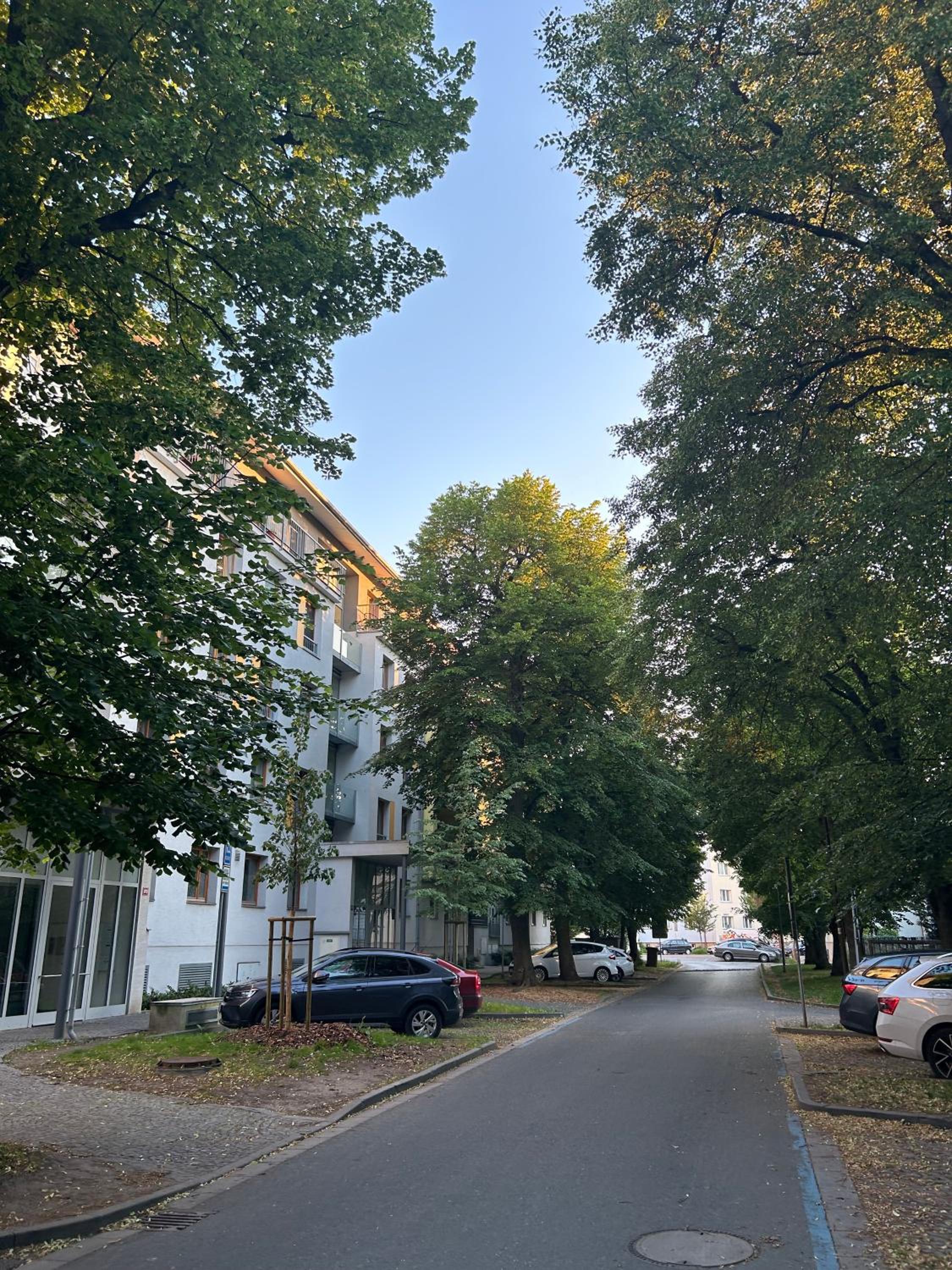 Apartmán v srdci Poděbrad 100m2