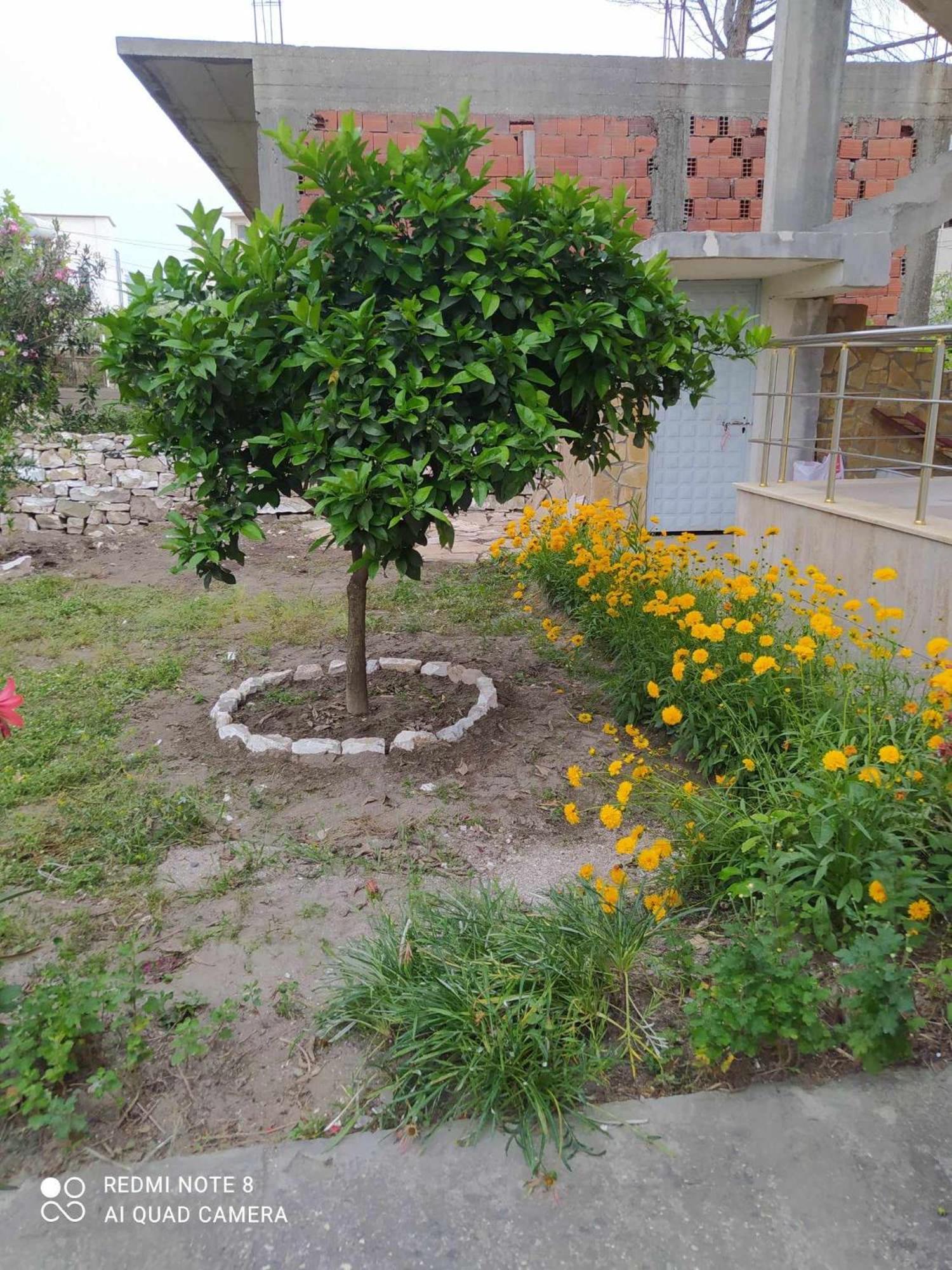 Apartments fatmir