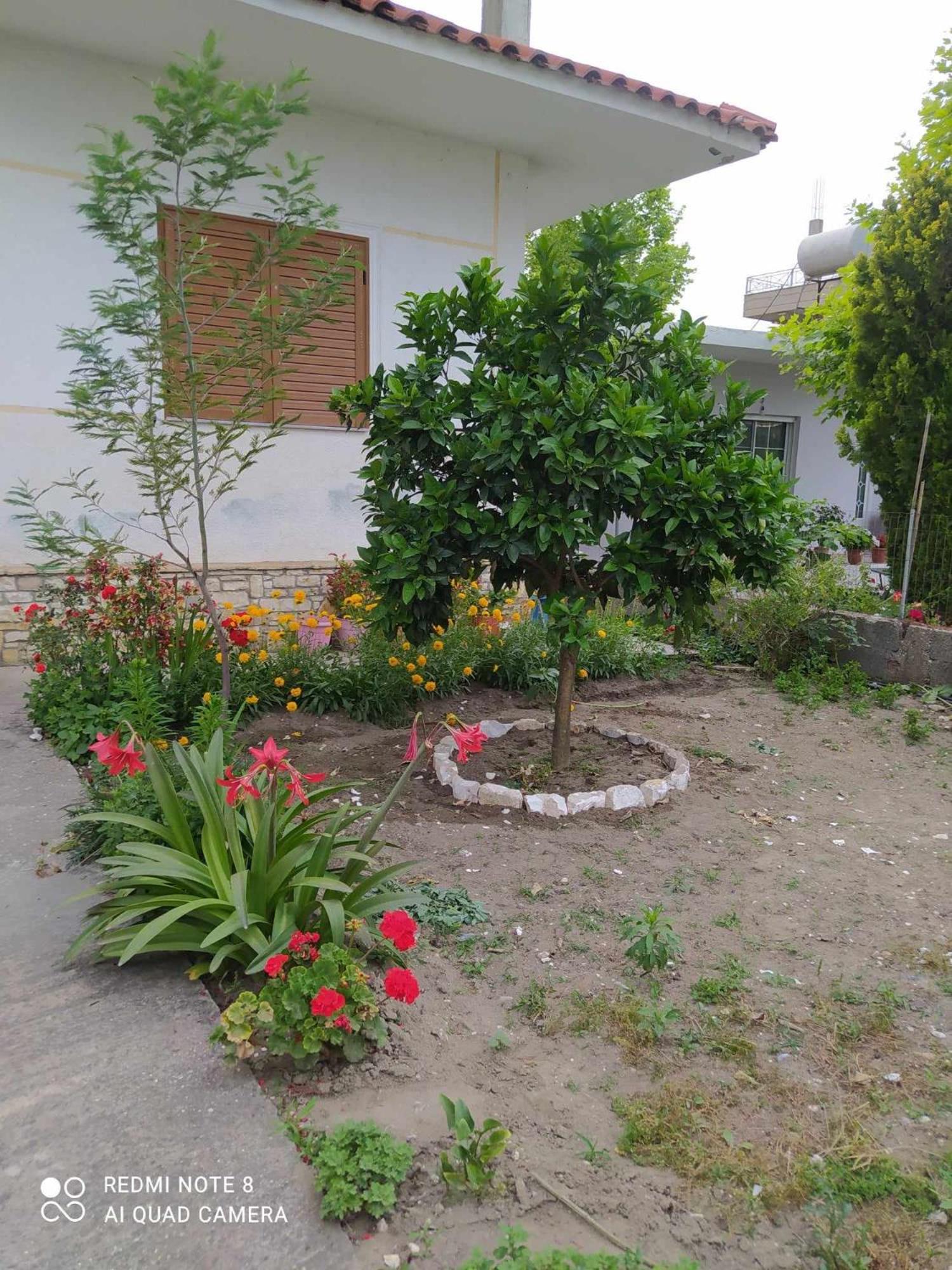 Apartments fatmir