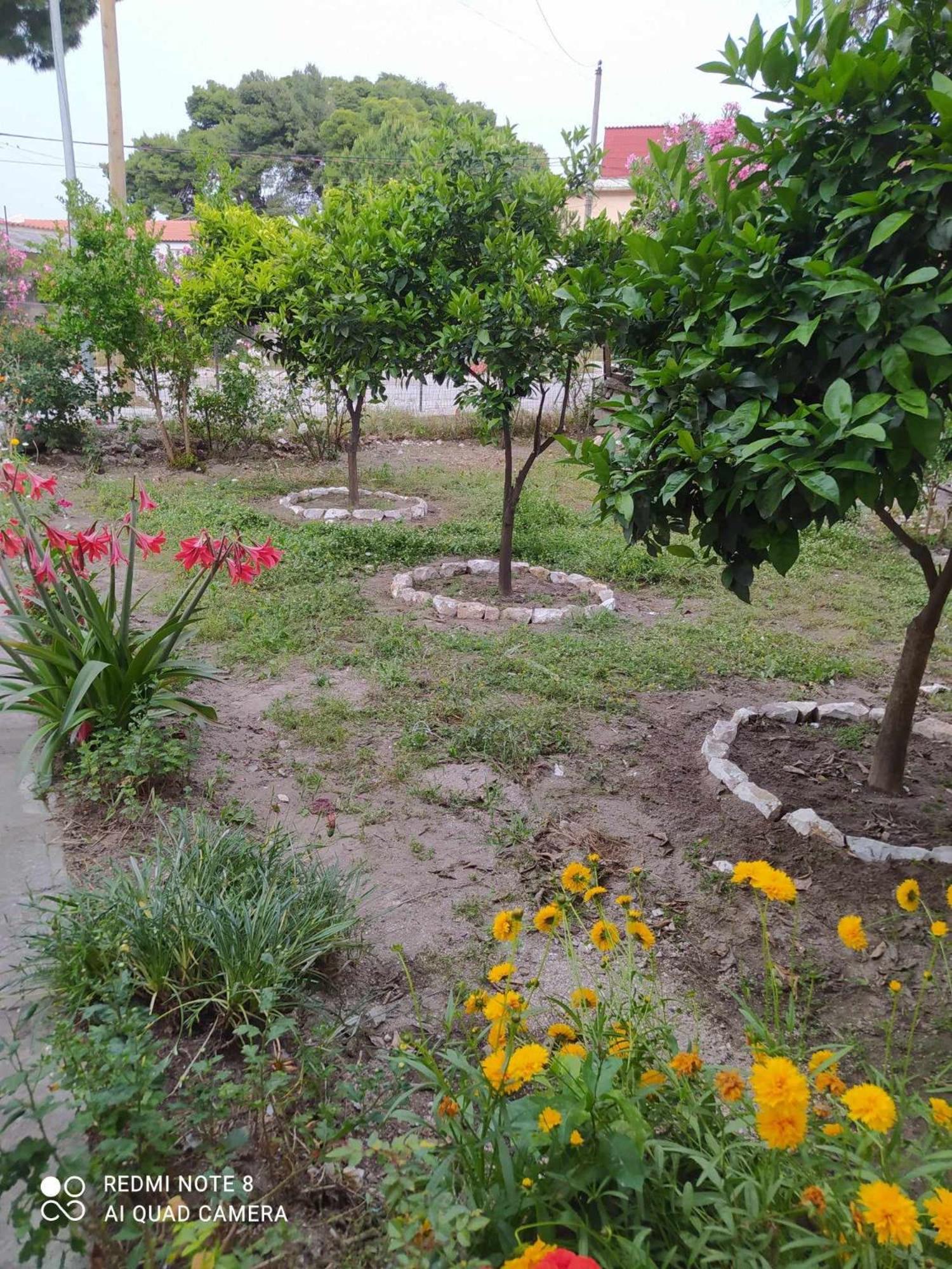 Apartments fatmir
