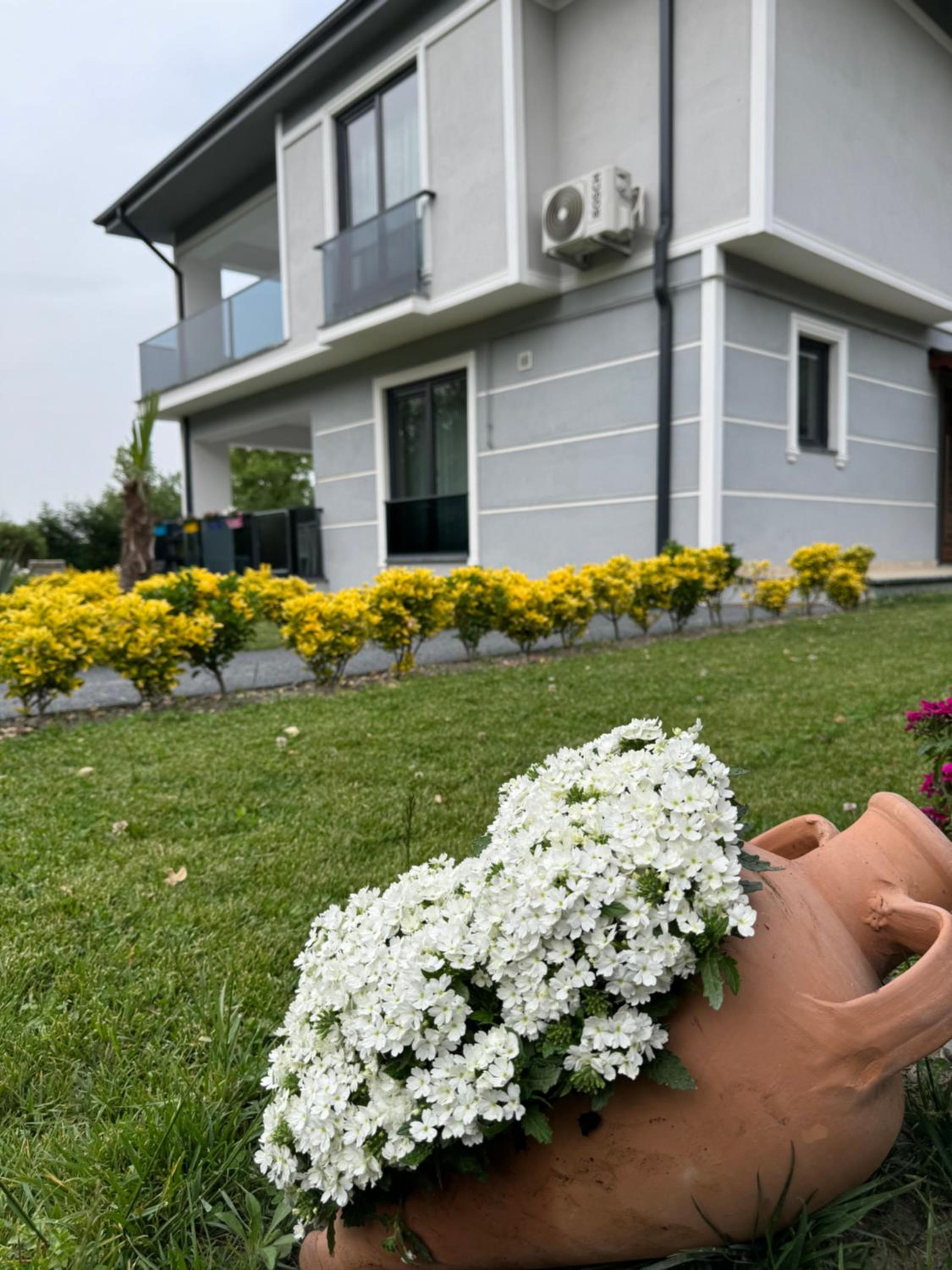 Sapanca Villa Dereiçi