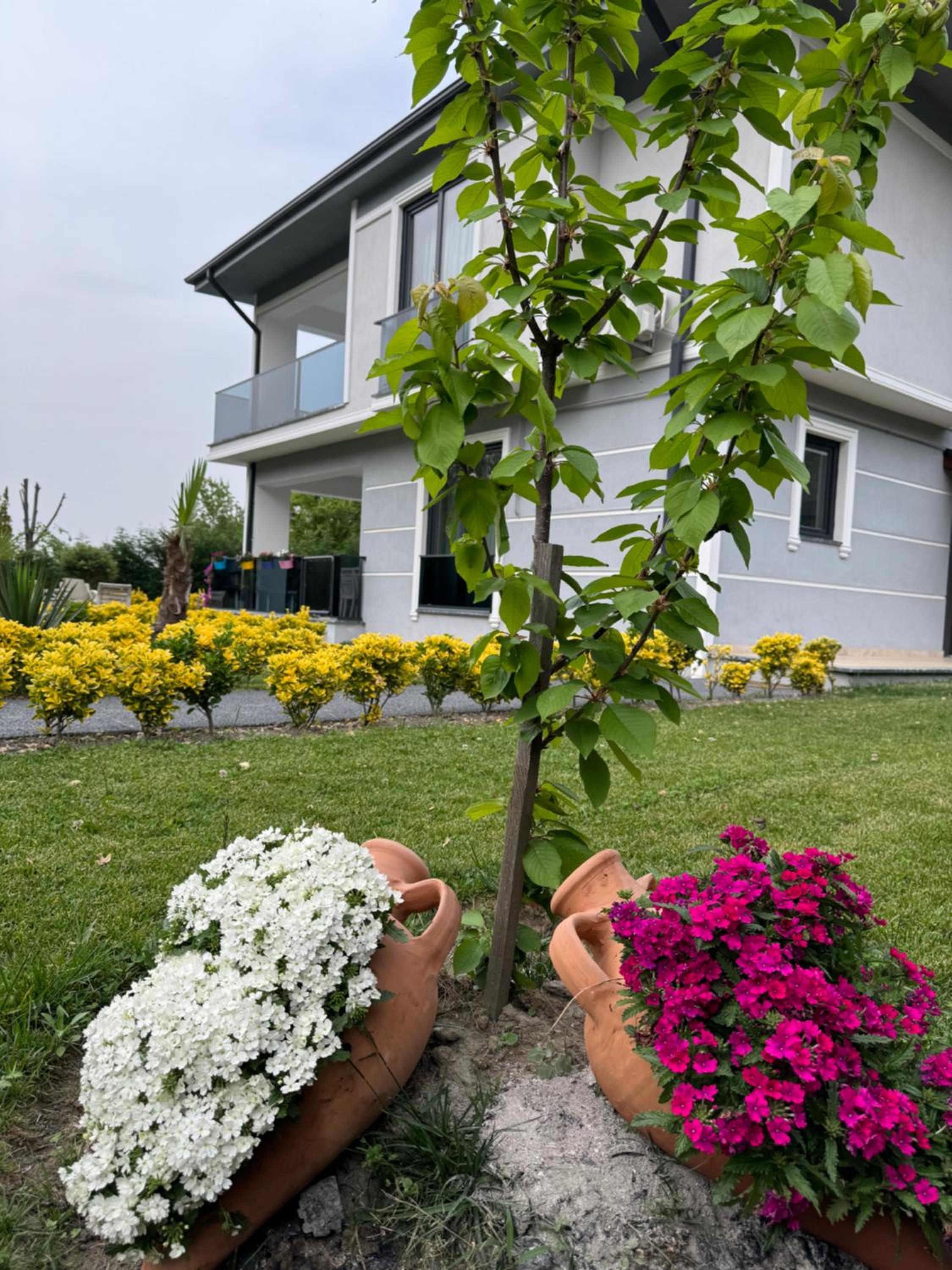 Sapanca Villa Dereiçi