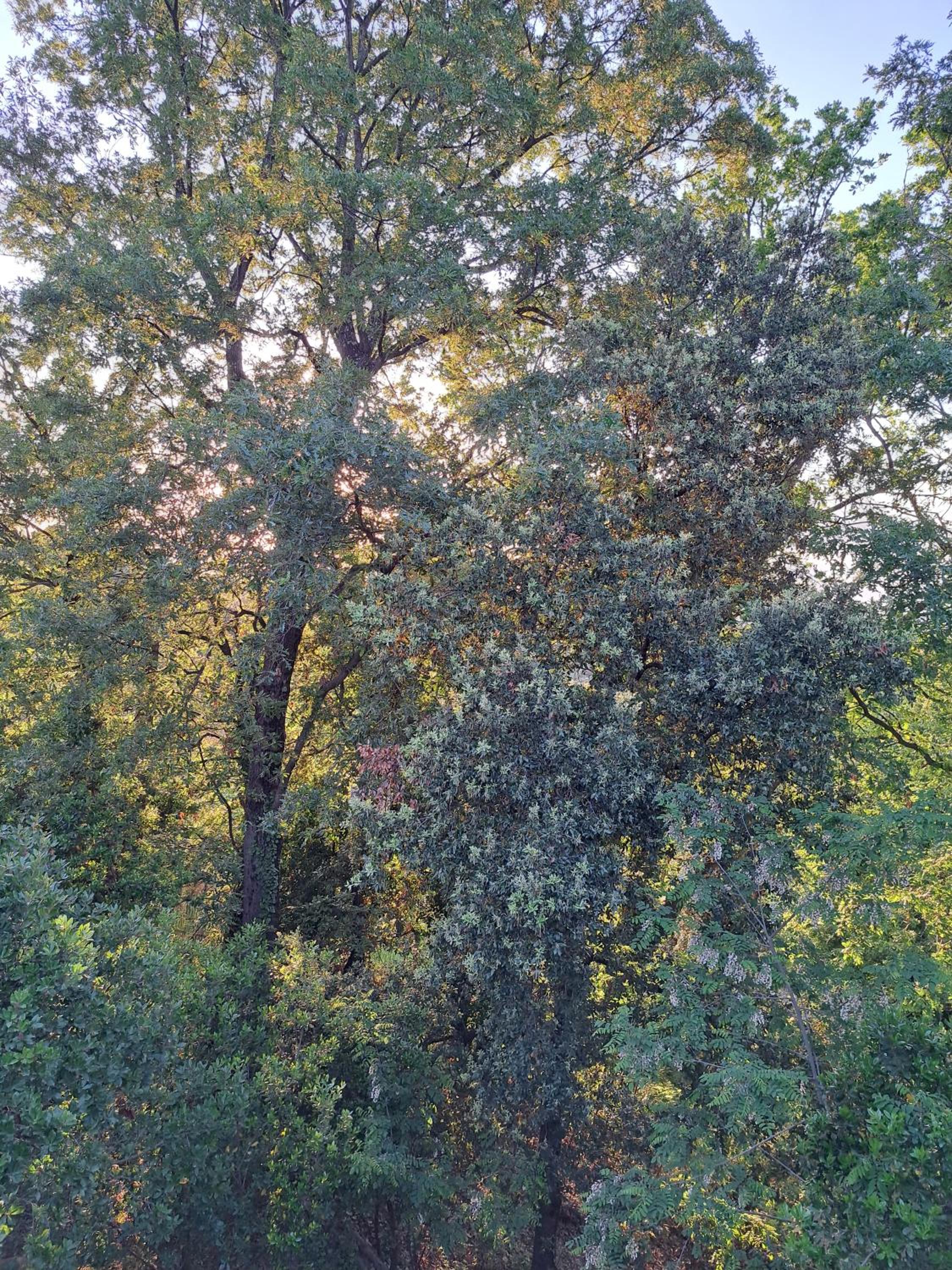 Photo 29