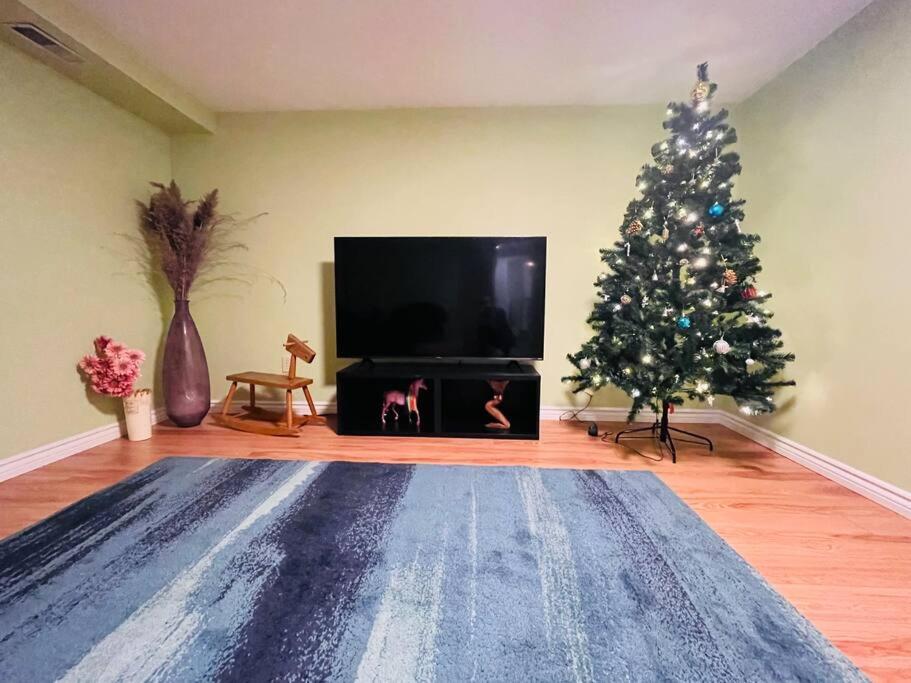 Emily's charming house
