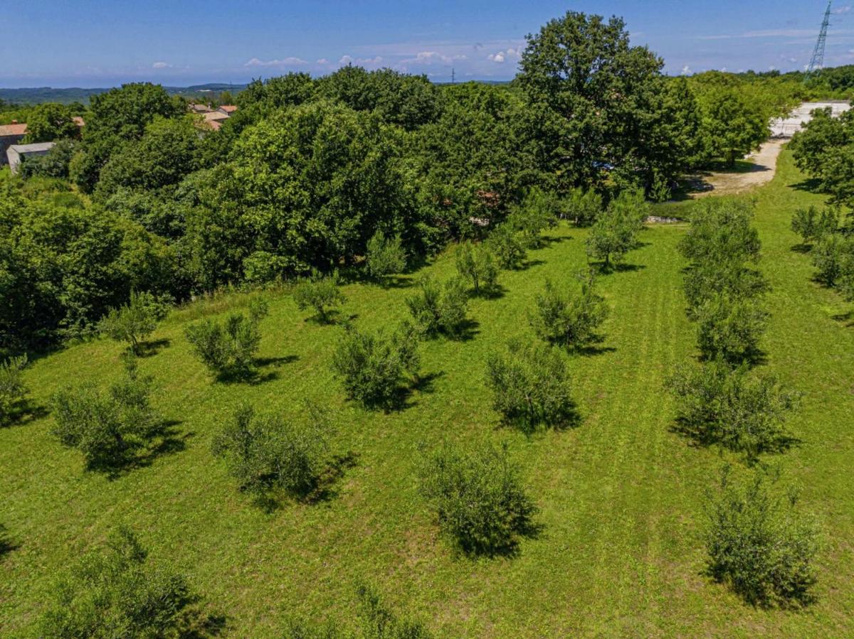 Villa Salambati 9 in Salambati (Haus für 8-9 Personen) view 4