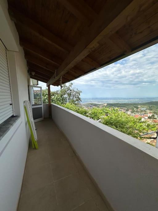 The view Guest House