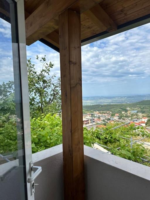 The view Guest House
