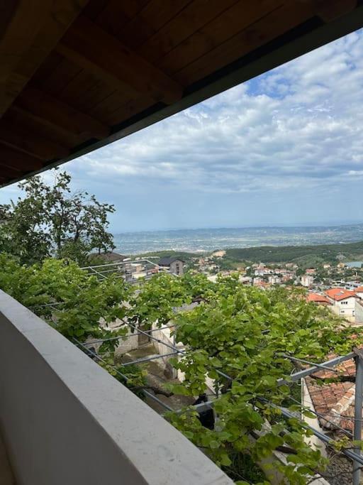 The view Guest House