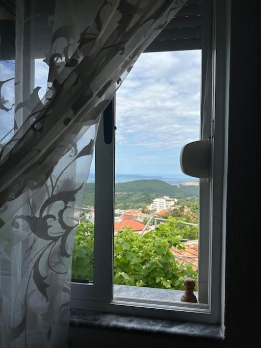 The view Guest House