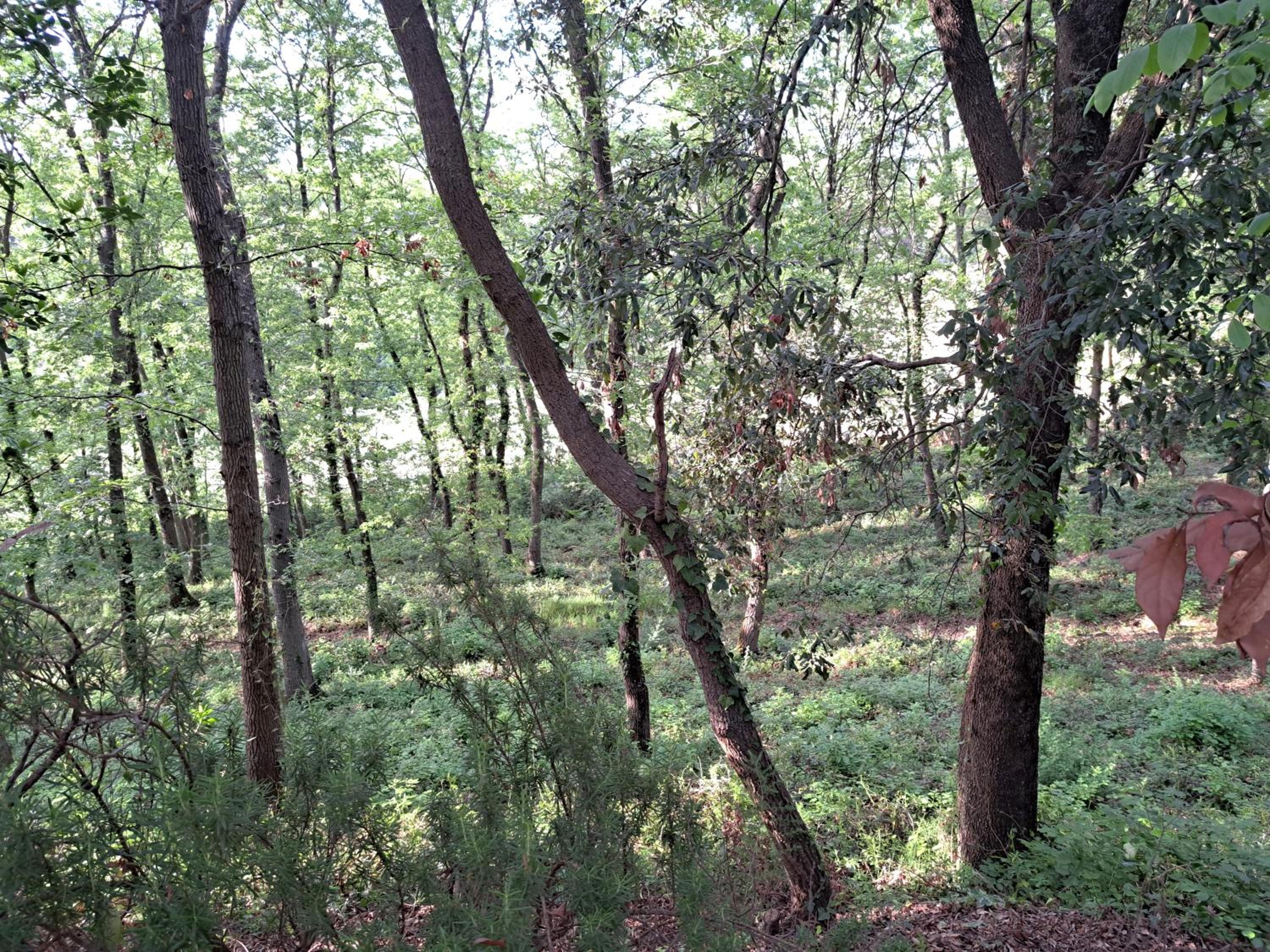 Photo 27