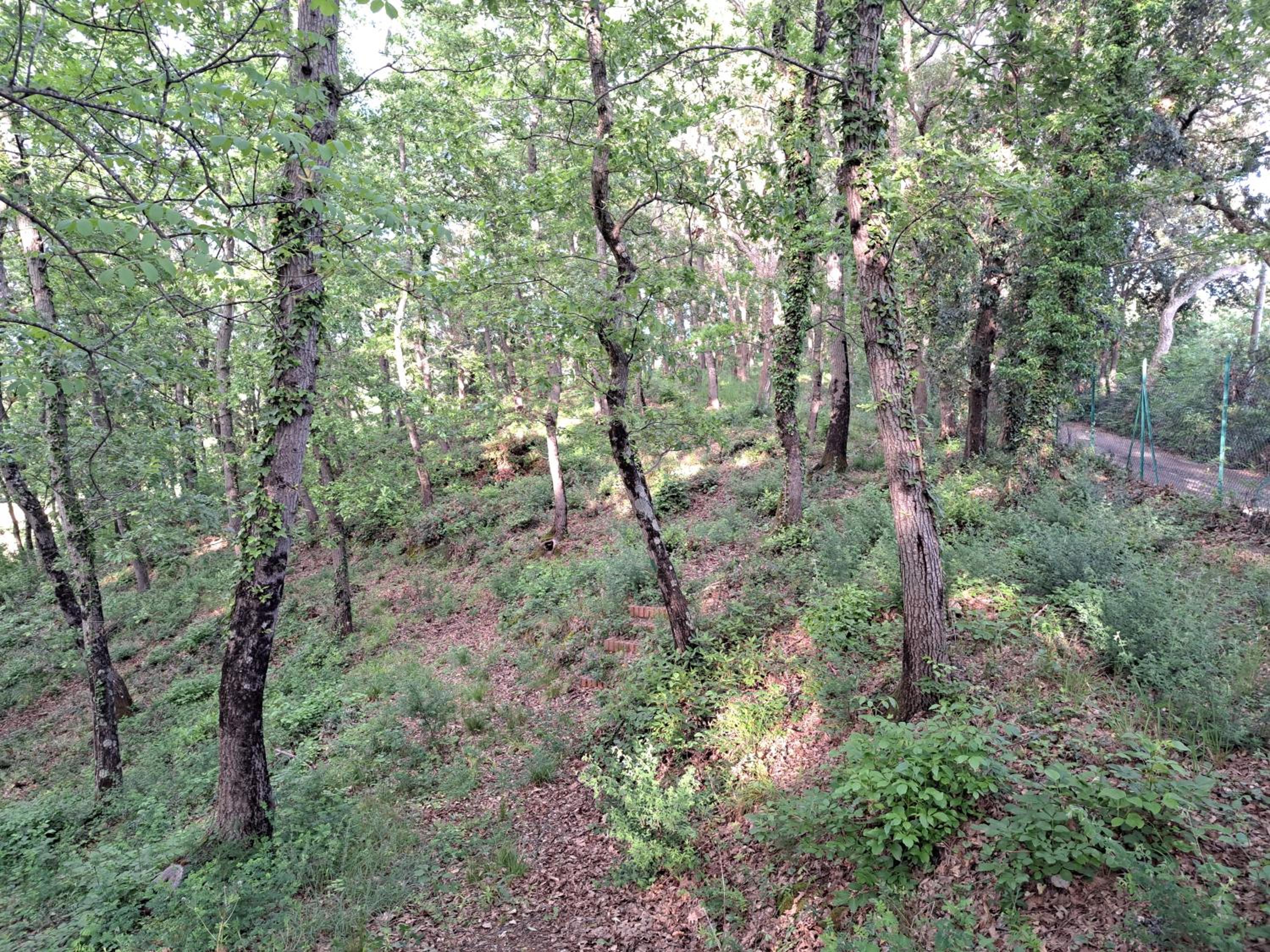 Photo 24