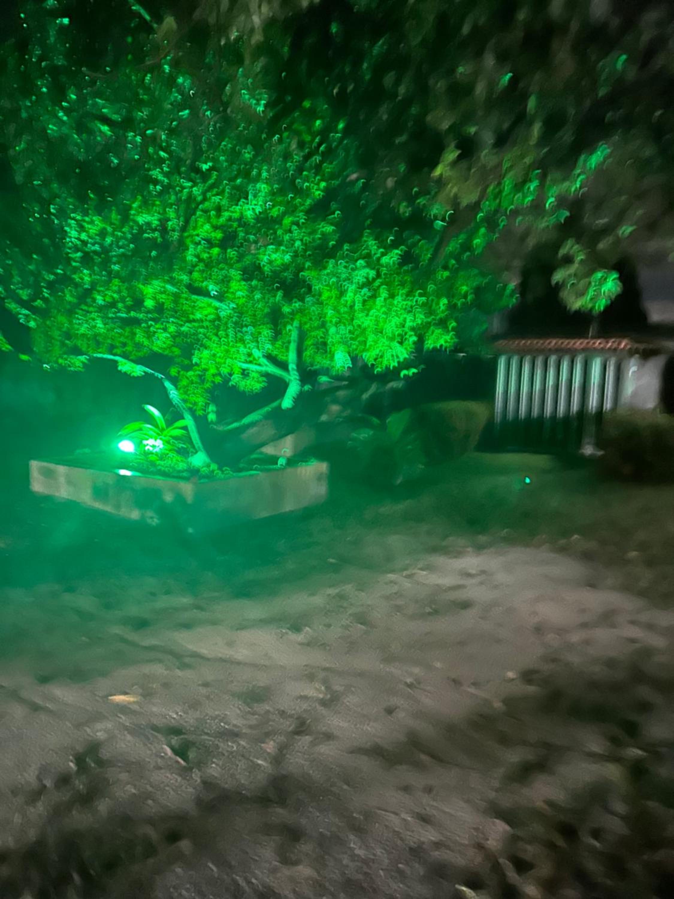 Sítio Raposa