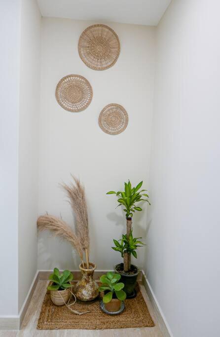 Luxury beach apartment in the most exclusive area of Tulum