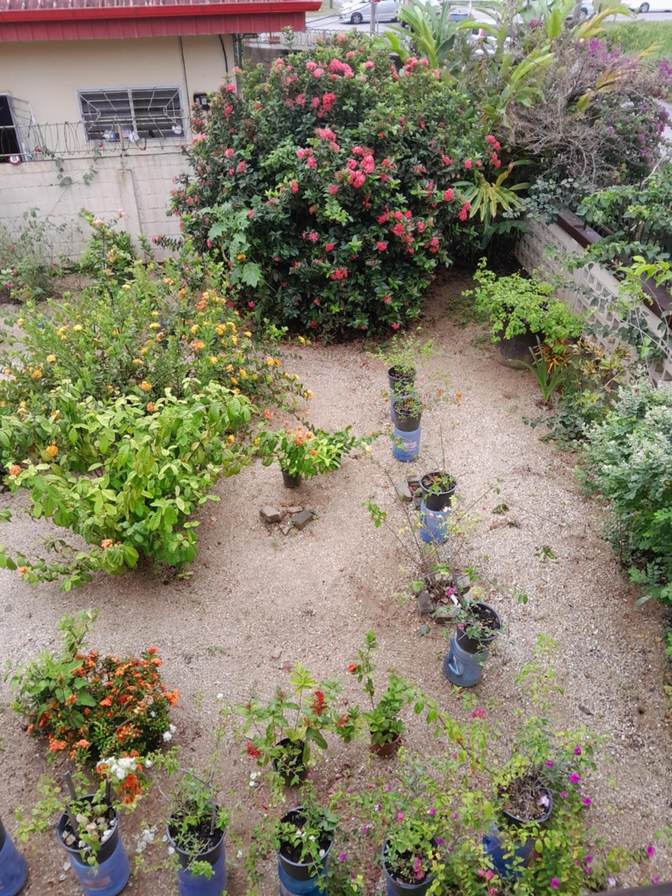 Photo 10