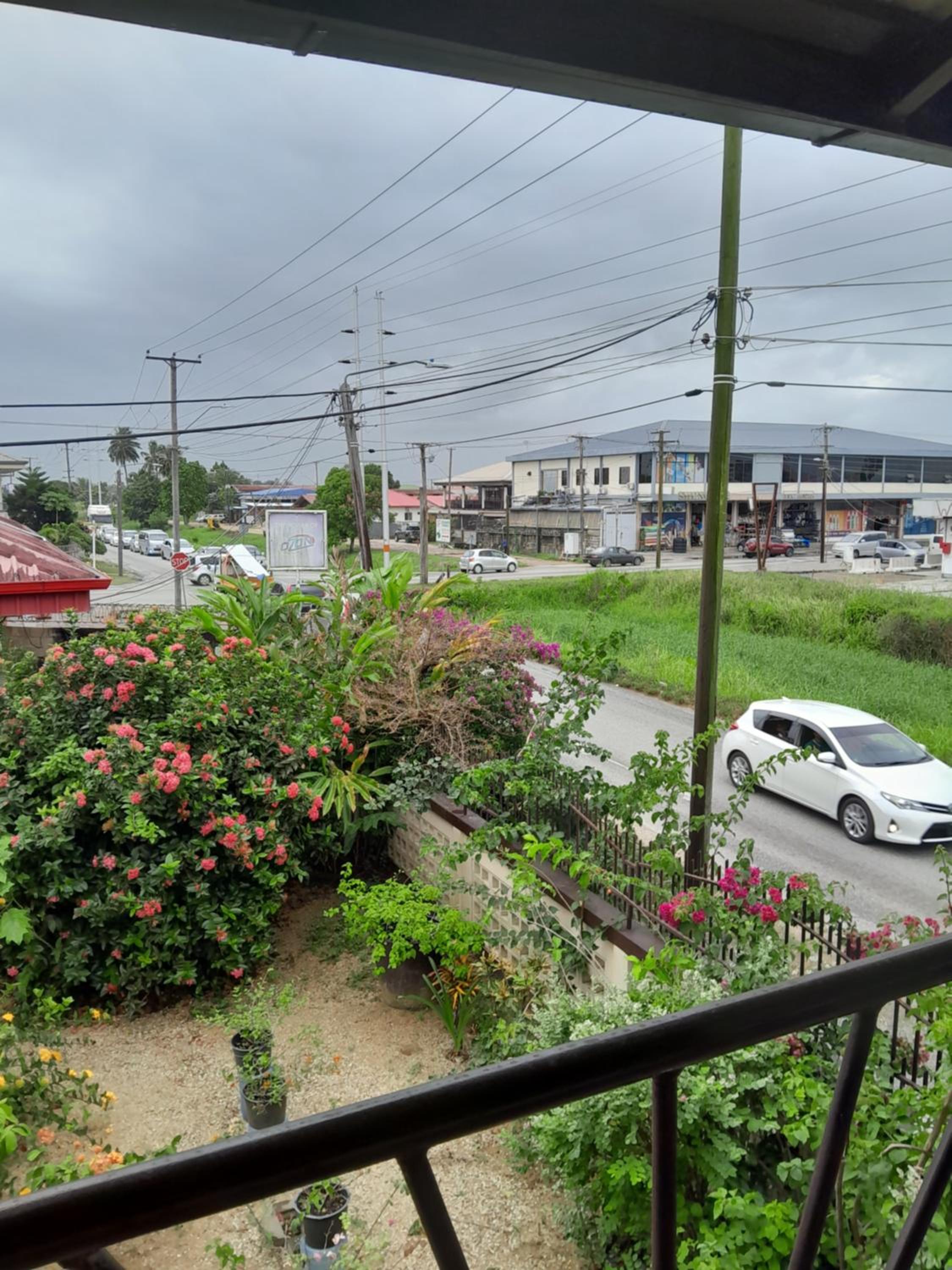 Flower garden view 4