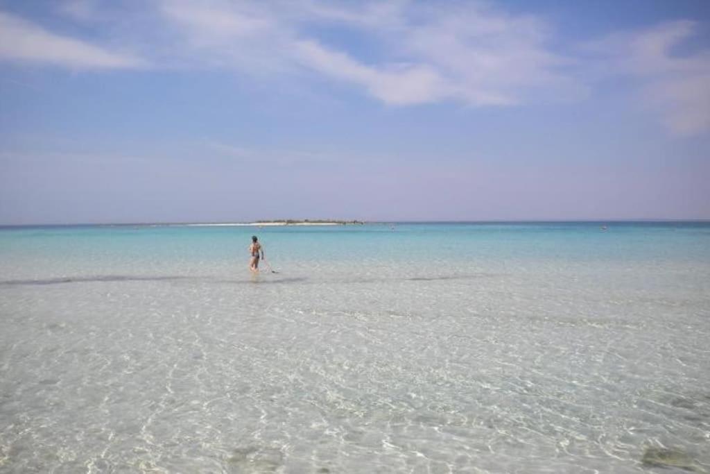 Villetta a Porto Cesareo, località Sant'Isidoro photo 4