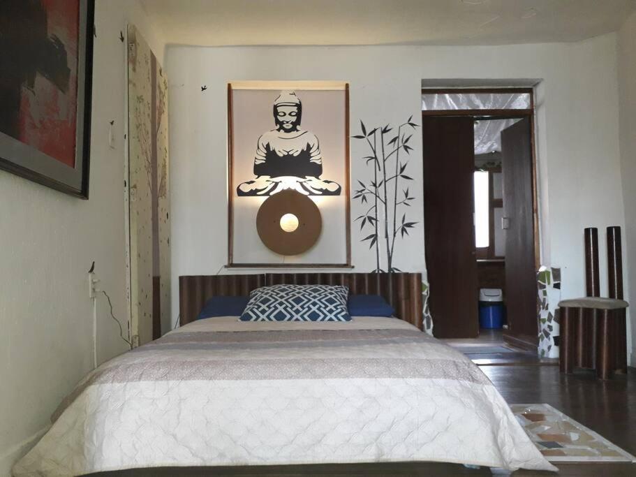 Casa Viva apartaestudio