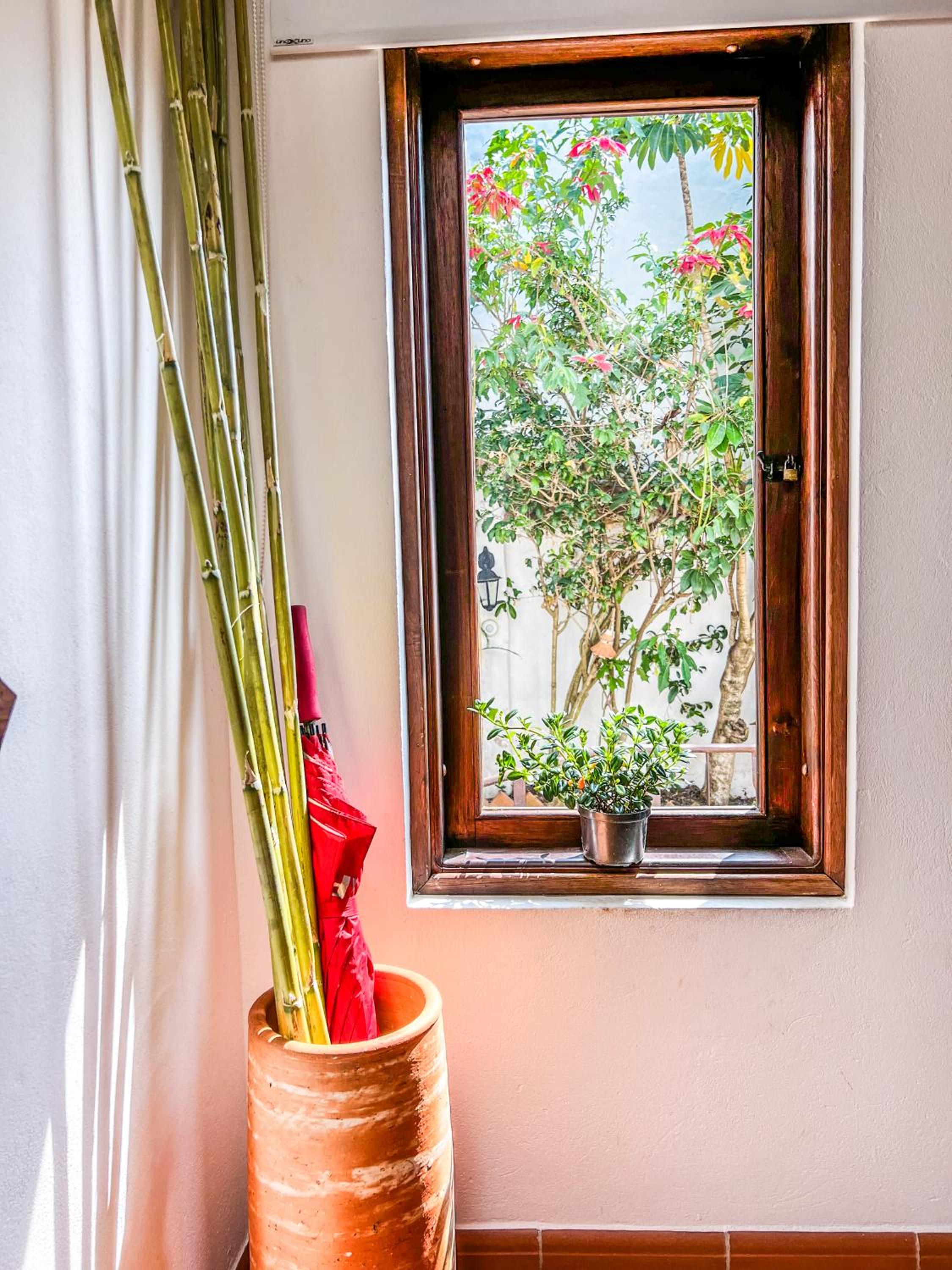 Serena Morena Hostel