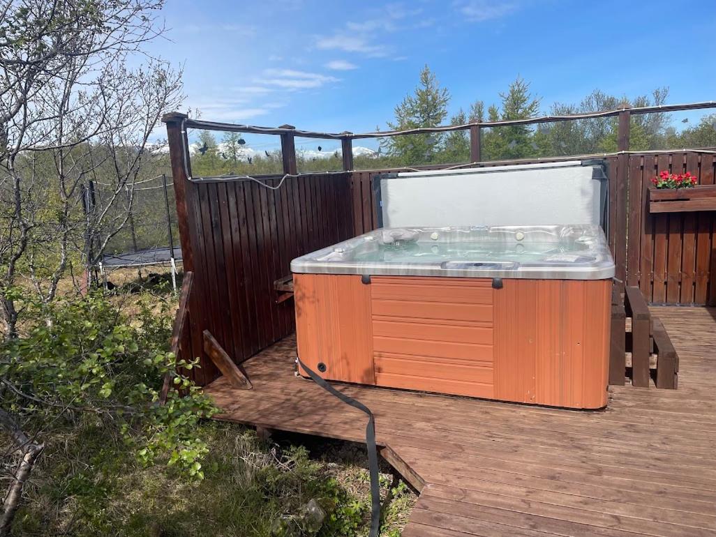 Salmon River Cabin view 4