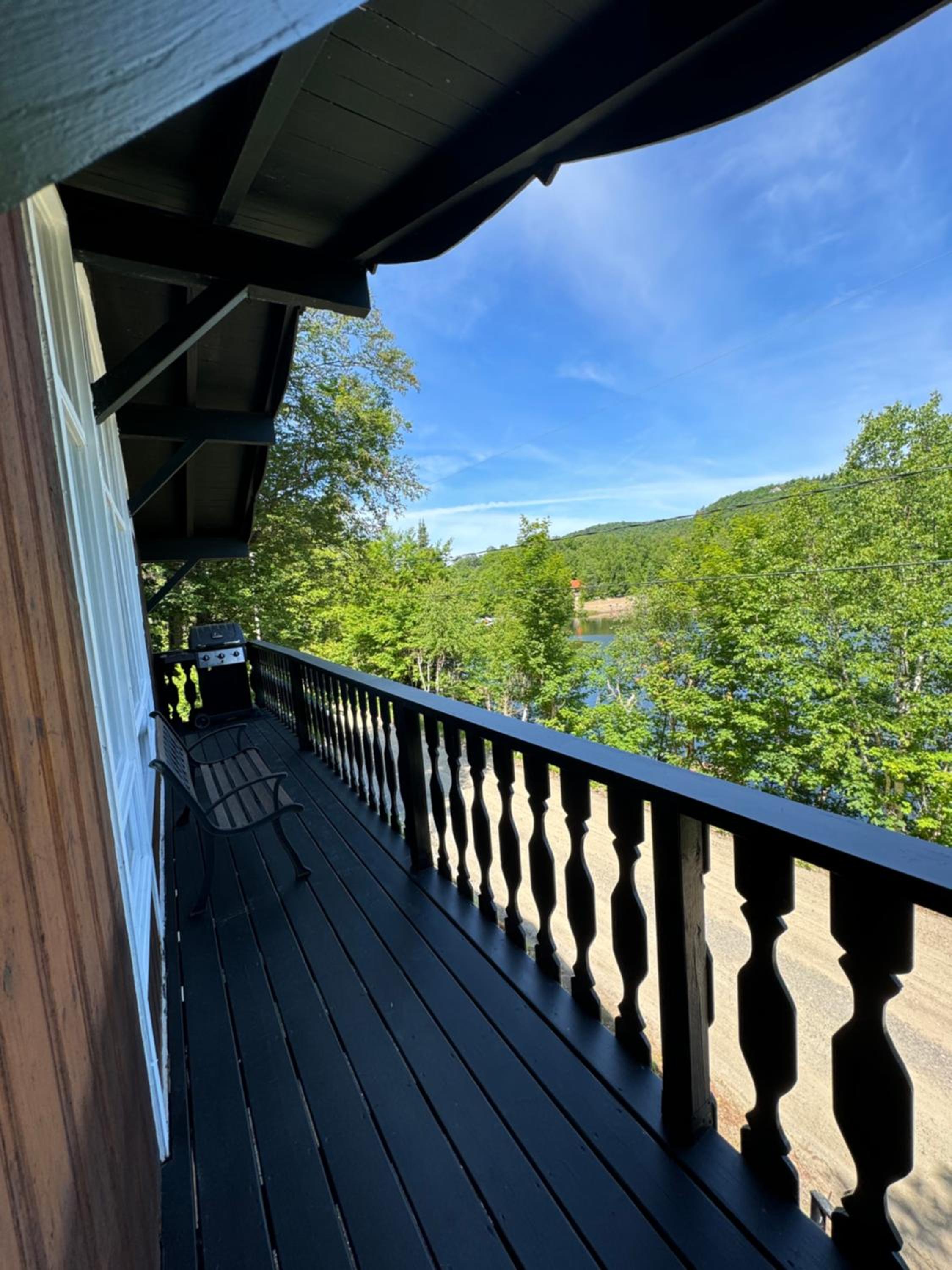 Chalet Alpin Suisse Au Bord Du Lac