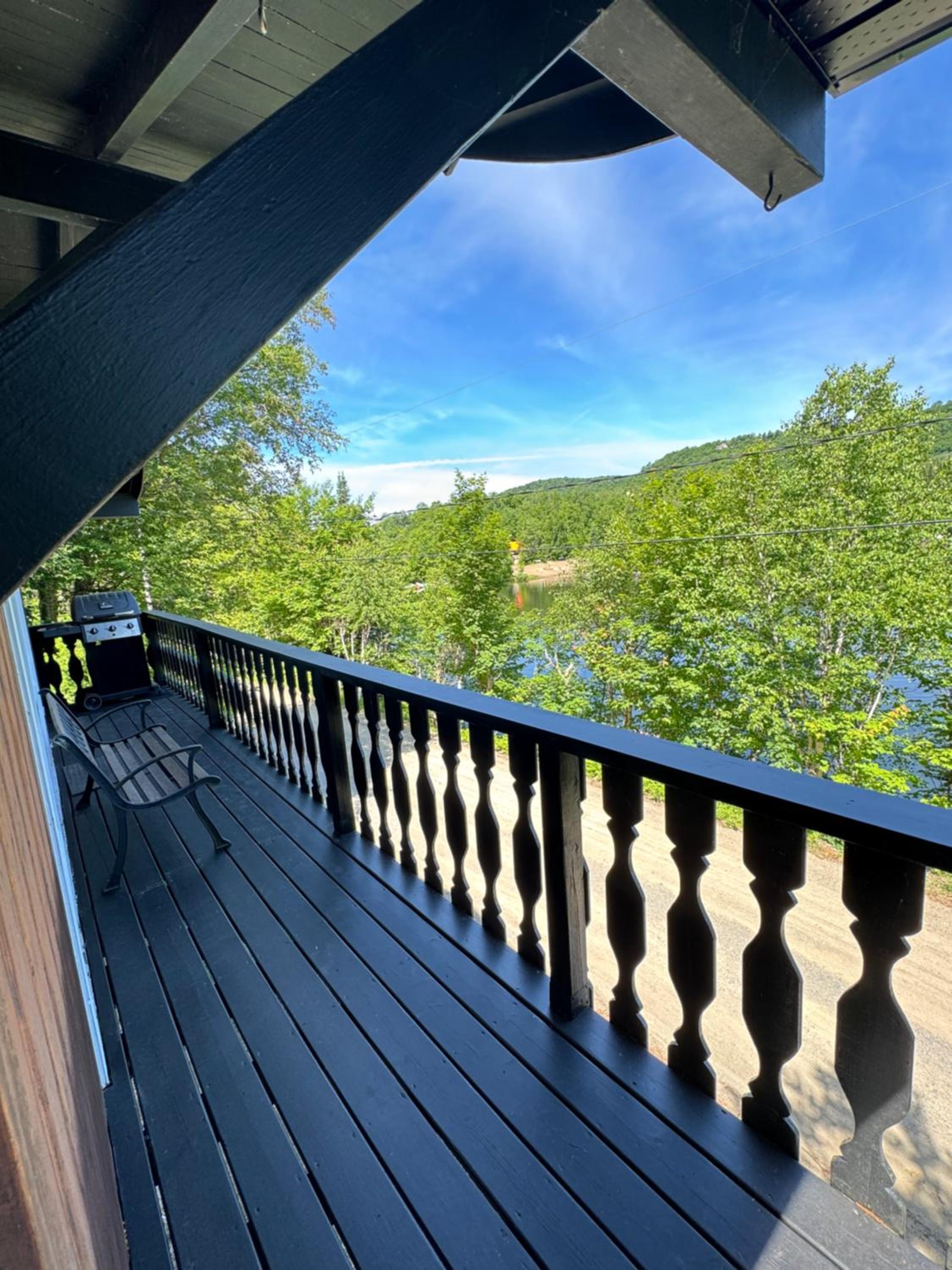 Chalet Alpin Suisse Au Bord Du Lac
